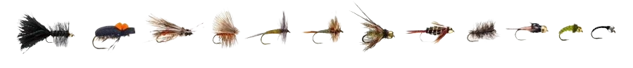 A row of various fishing flies and lures used for fishing.