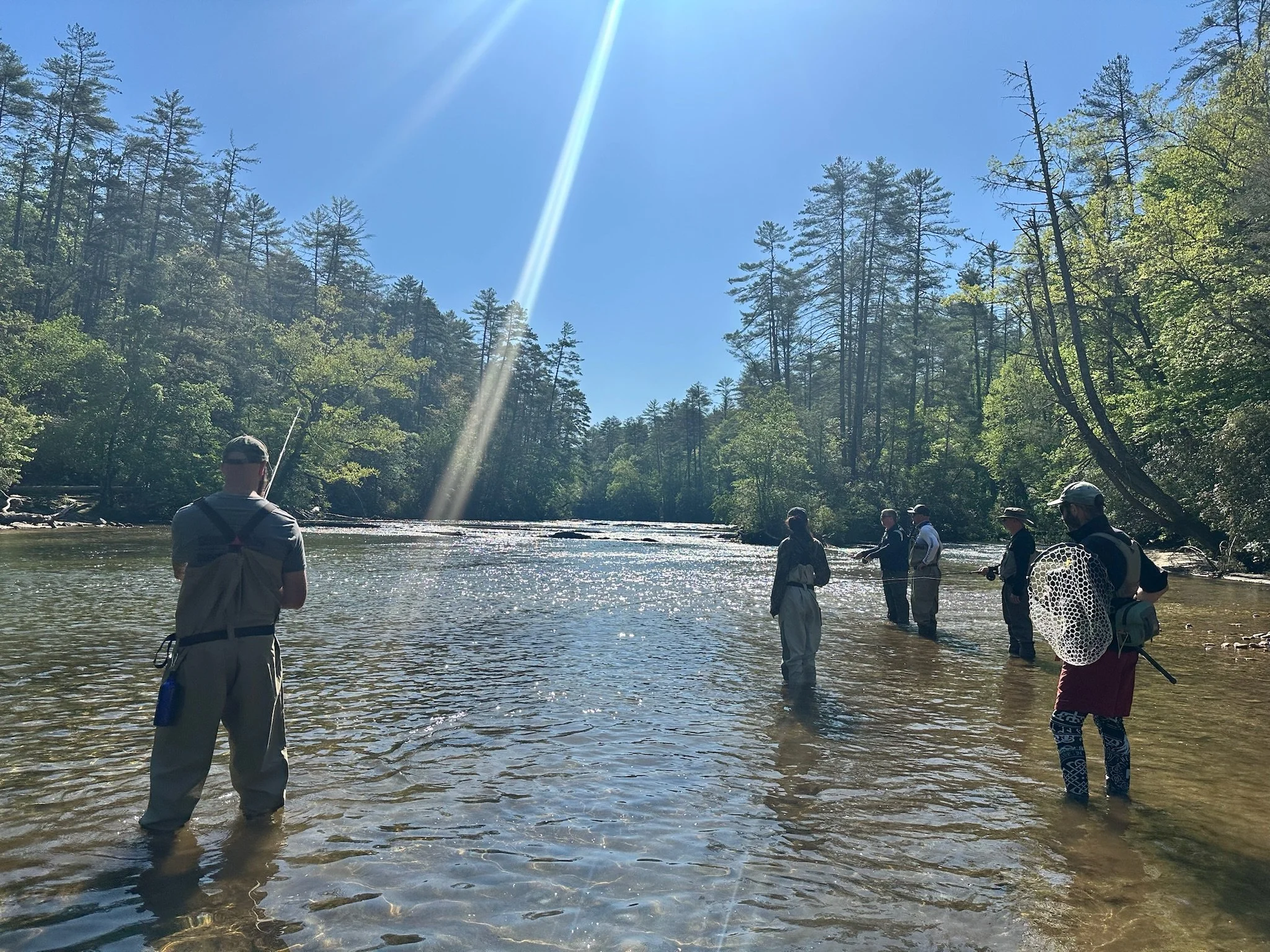 A group of people standing in a shallow river surrounded by tall trees under a bright blue sky, with sunlight streaming down.