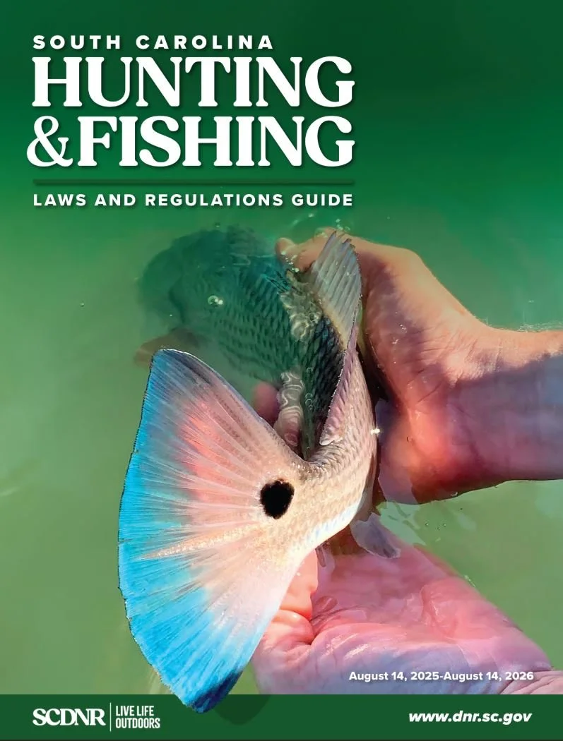 Cover of a South Carolina hunting and fishing laws and regulations guide showing a person holding a fish underwater with a black spot on its tail fin, with the title and dates printed on a green background.