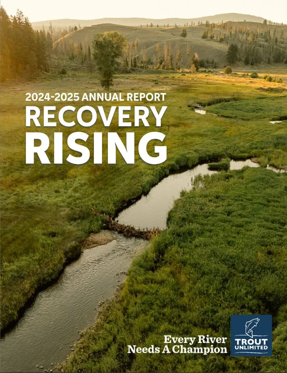 A landscape view of a river flowing through lush green fields and rolling hills with trees, under a clear sky, on the cover of the Trout Unlimited 2024-2025 Annual Report titled 'Recovery Rising'.