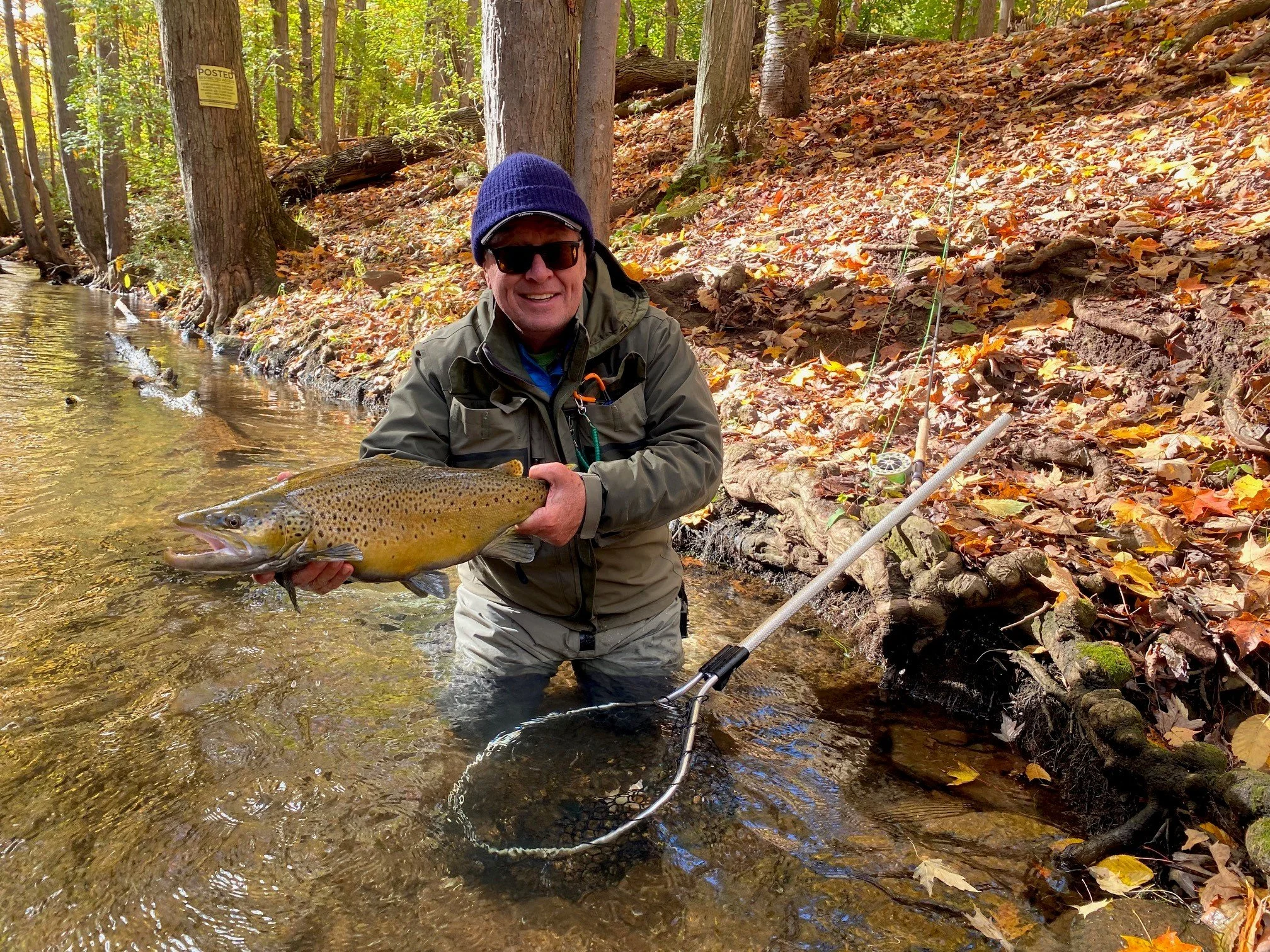 A man is standing in a shallow stream in a wooded area during autumn, holding a large fish with a brown and yellow speckled pattern. He is wearing sunglasses, a navy blue knit hat, an olive-green jacket, and khaki pants. Fishing gear, including a fishing rod, is visible on the ground nearby. The forest has colorful fallen leaves, and trees with some posted signs are visible in the background.