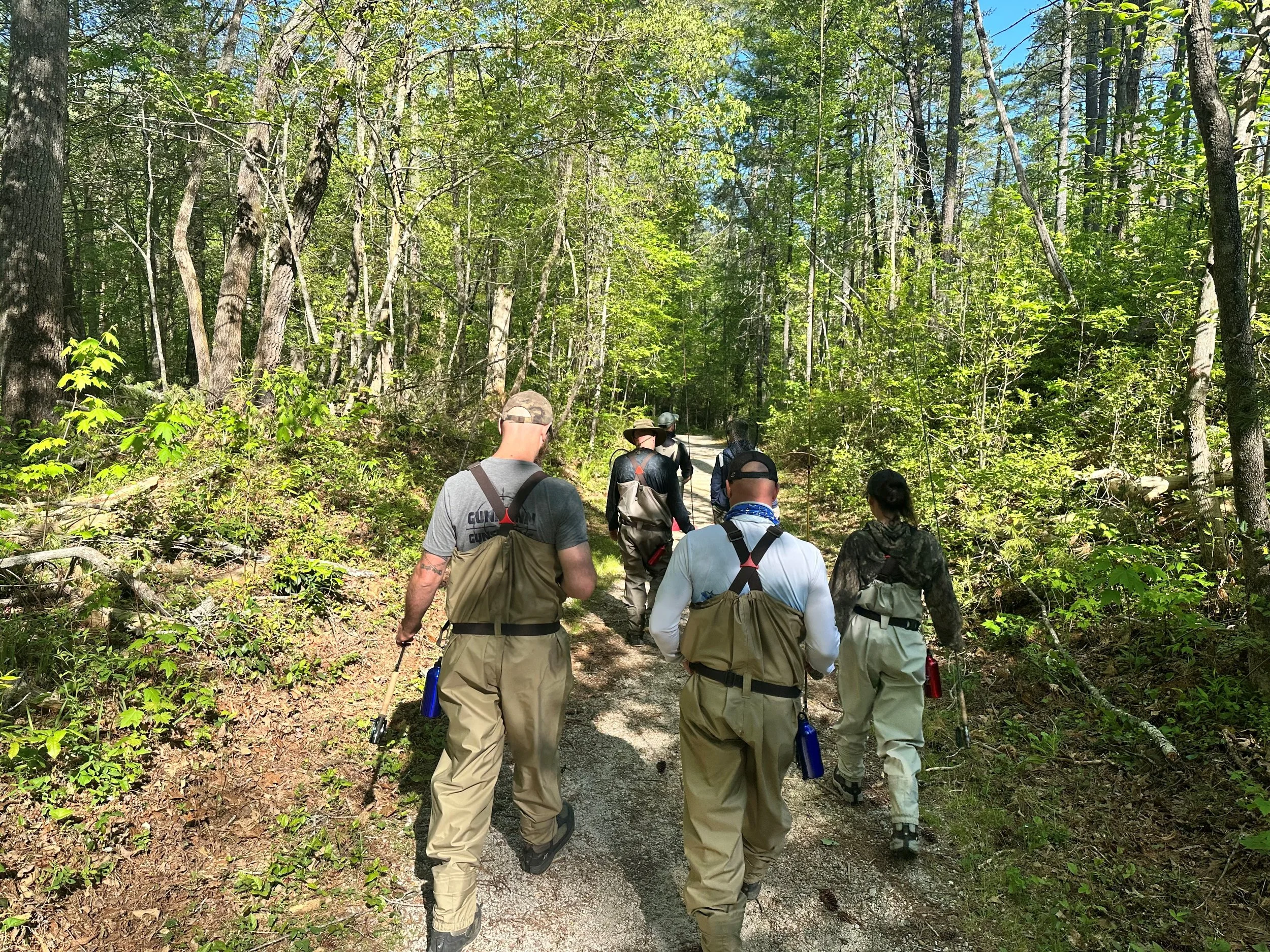 A group of people hiking in a forest on a sunny day, walking along a dirt trail surrounded by tall trees with green leaves.