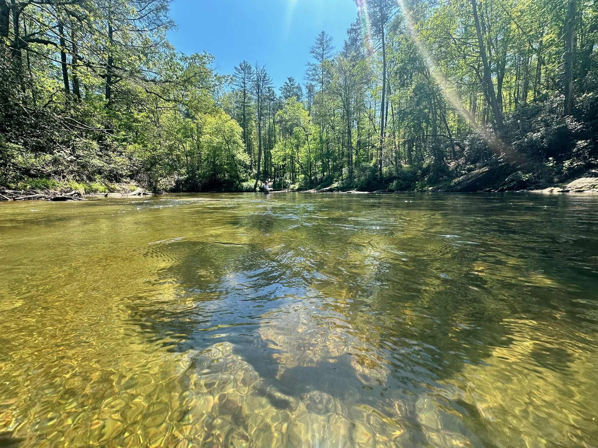 A person sitting in a boat fishing on a calm river surrounded by lush green trees under a bright blue sky with sunlight streaming through the branches.
