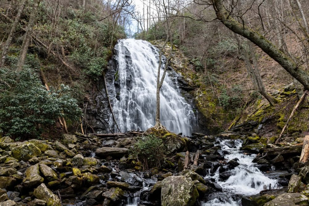 A waterfall flowing down a rocky cliff into a stream surrounded by trees and moss-covered rocks.