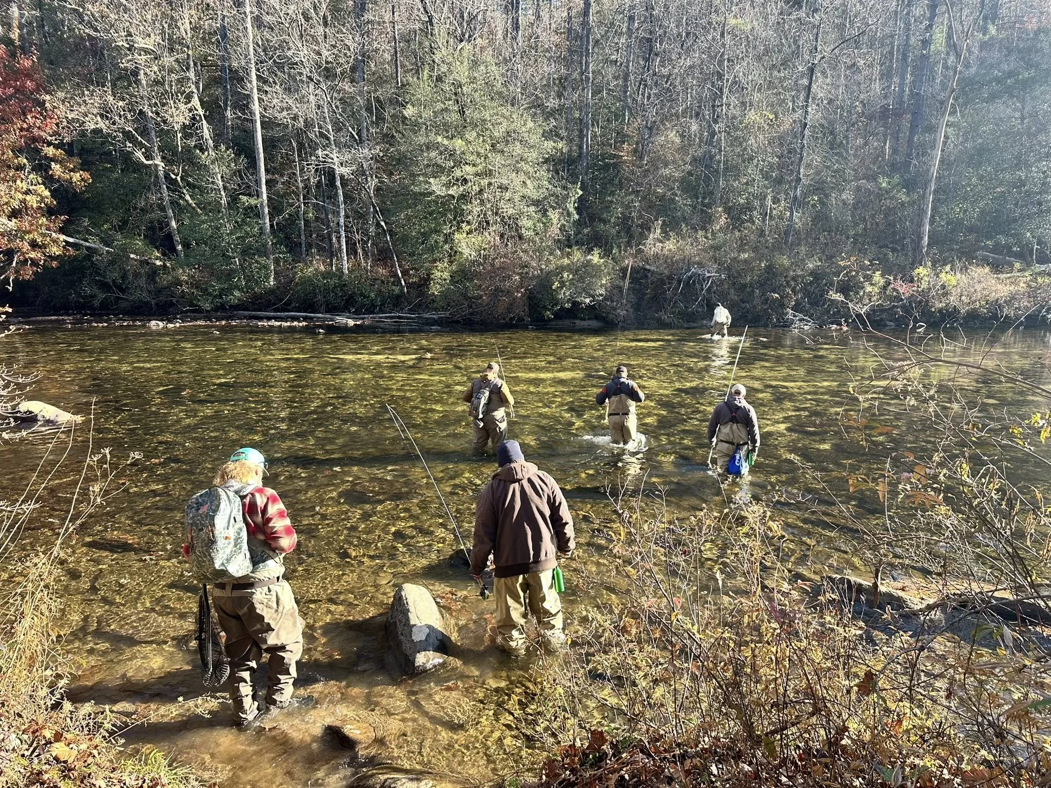 People fishing in a shallow river with a forest backdrop on a clear day.
