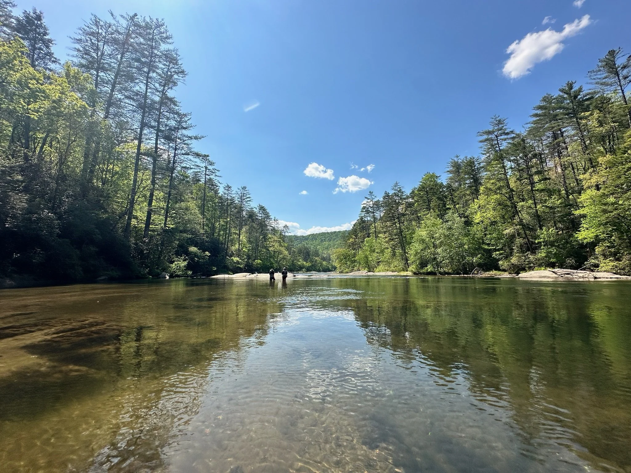 A river flowing through a forest with tall trees on both sides under a blue sky with a few clouds, and two people standing in the water.