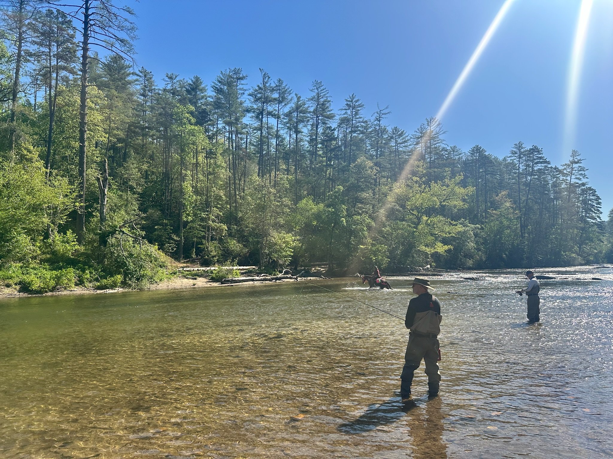 Two people are fishing in a river in a forested area on a sunny day. The river has clear water, and tall trees with green foliage line both sides. The sky is bright blue with sunlight shining down.
