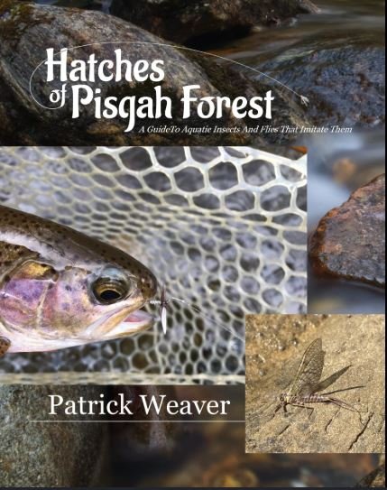 Book cover titled 'Hatches of Pisgah Forest: A Guide To Aquatic Insects And Flies That Imitate Them' by Patrick Weaver, featuring images of a fish, aquatic insect hatchlings, and a dragonfly.
