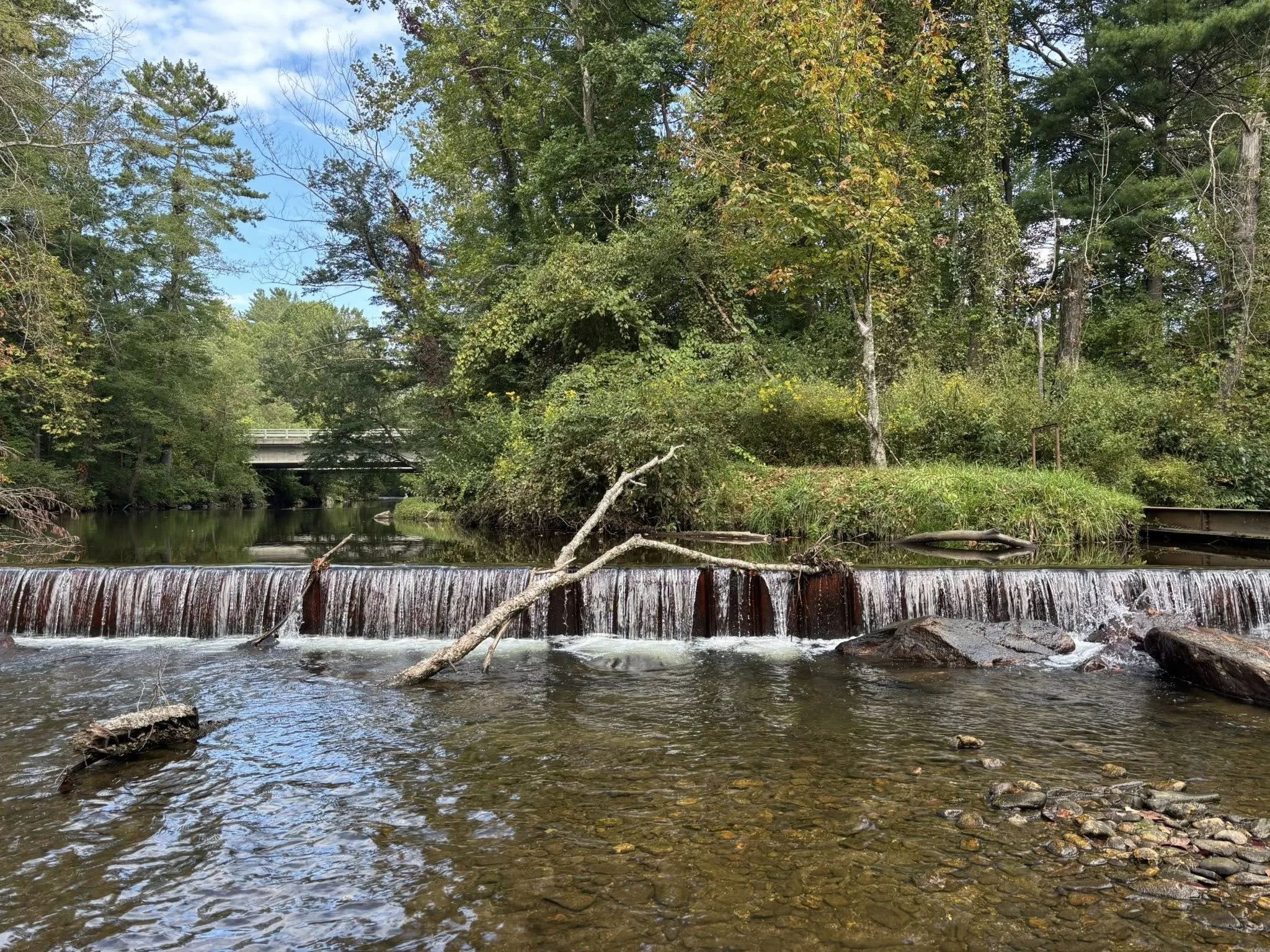 A river with a small waterfall, surrounded by trees with green leaves, under a partly cloudy sky.