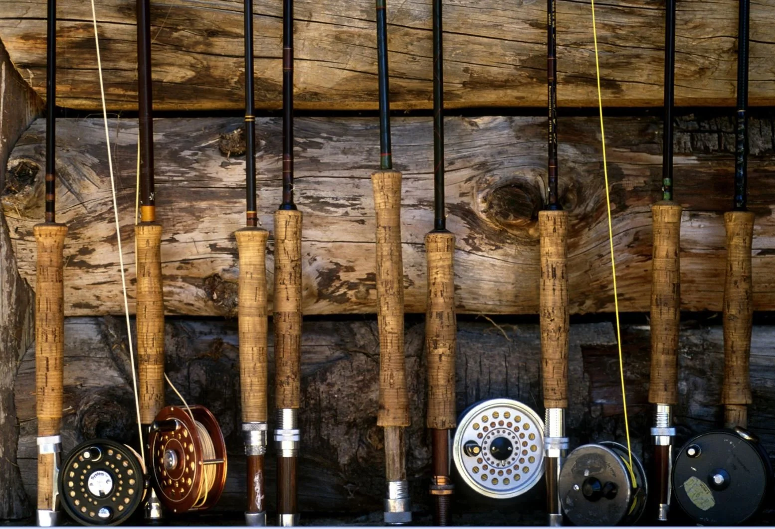 Six fly fishing rods with cork handles are resting against a weathered wooden wall, with some reels at the bottom of the rods.