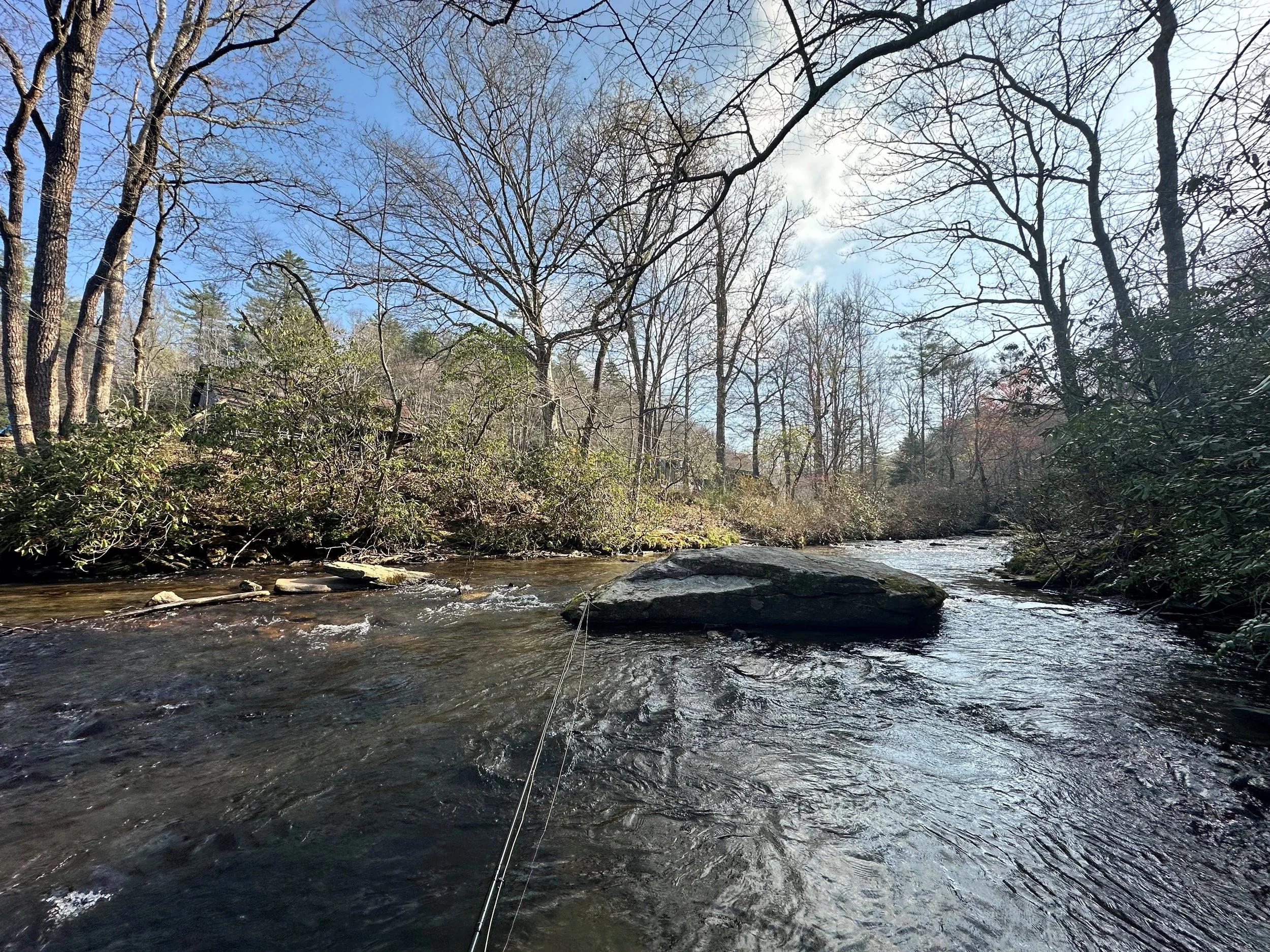 A creek flowing through a wooded area with bare trees and some green shrubs, under a partly cloudy sky.