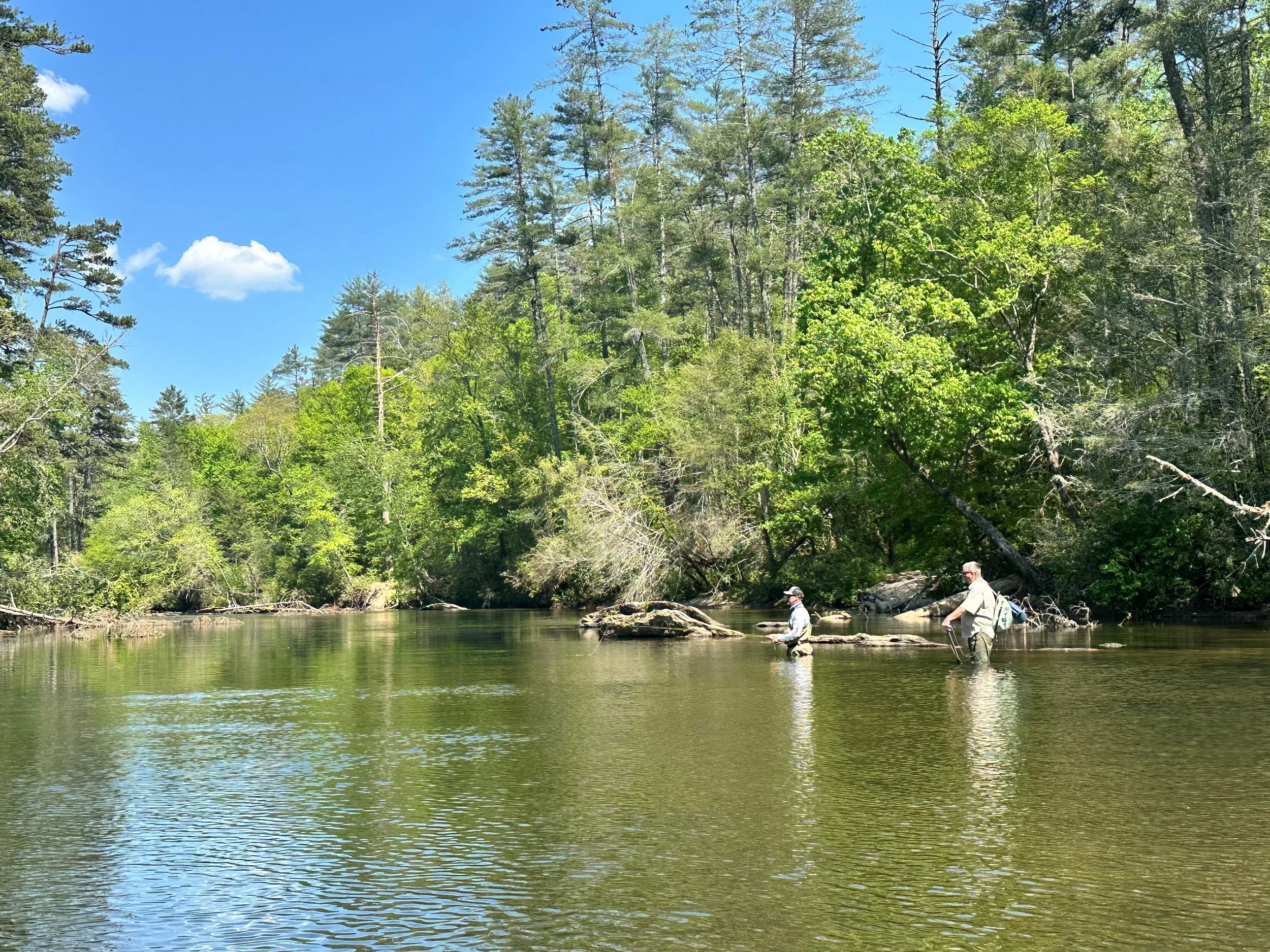 Two people fishing in a calm river surrounded by lush green trees under a bright blue sky.