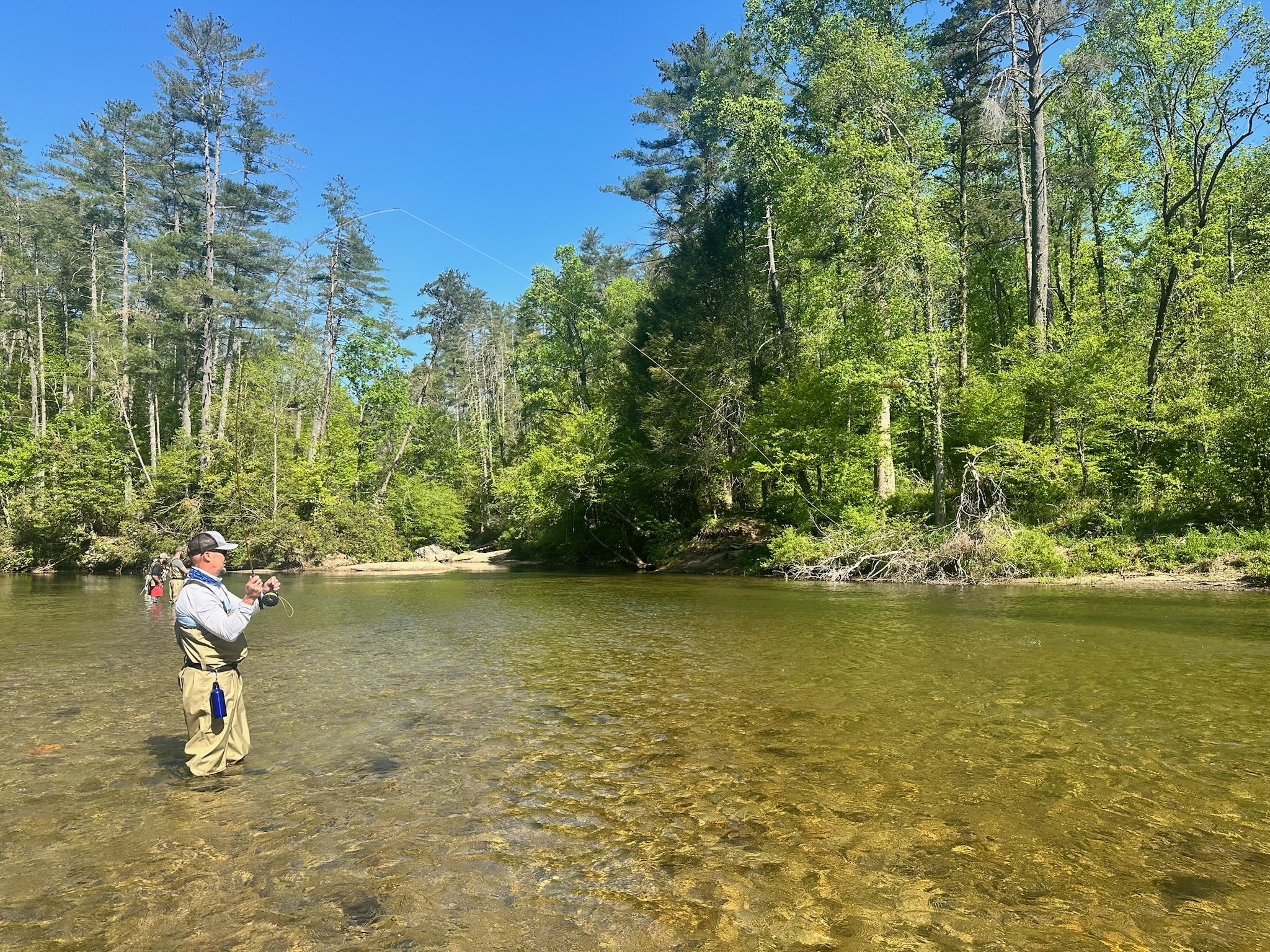 People fishing in a river surrounded by trees on a sunny day.