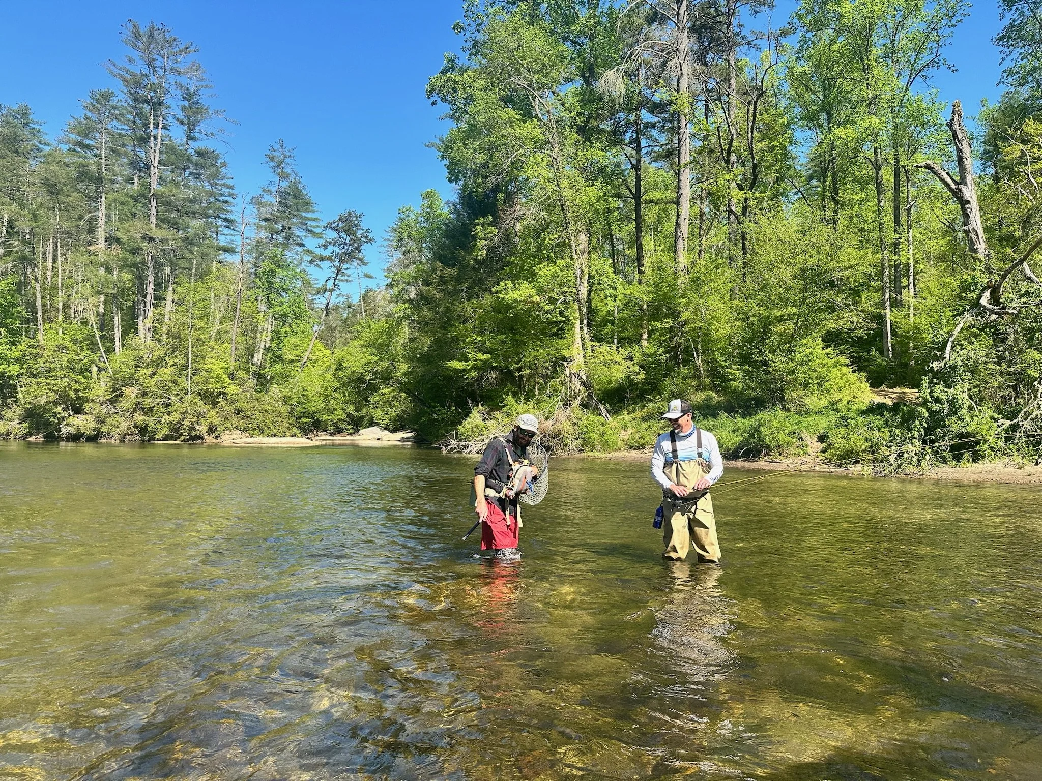 Two people wading in a river surrounded by tall green trees under a bright blue sky, with forest in the background.