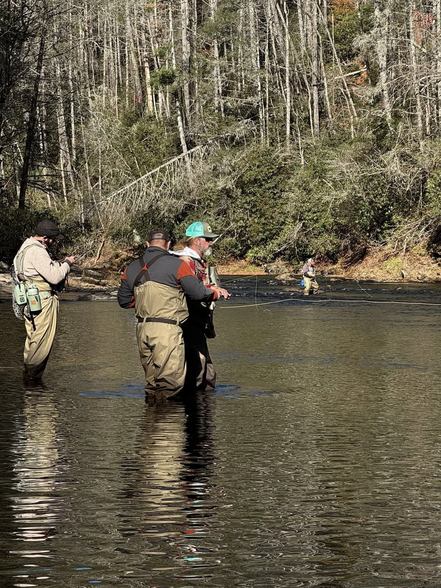 Four people fly fishing in a river surrounded by trees and forest.