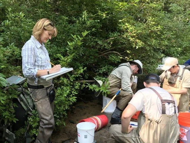 Group of four people, likely scientists or researchers, working outdoors in a lush, green environment. They are examining the ground, possibly excavating or conducting field research. One woman is standing on the left, taking notes in a notebook, while three others are kneeling or bending down, engaged in the task.