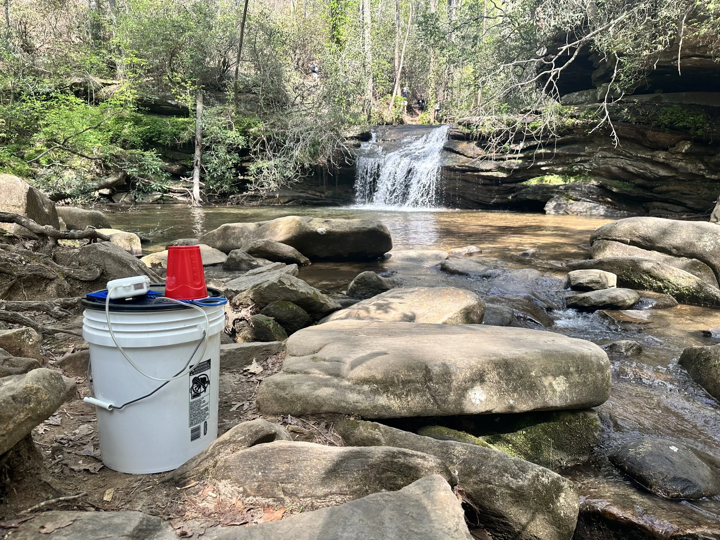 A small waterfall in a forest, with a white bucket and red cup in the foreground. The water flows over rocks into a shallow pool surrounded by large stones and dense trees.