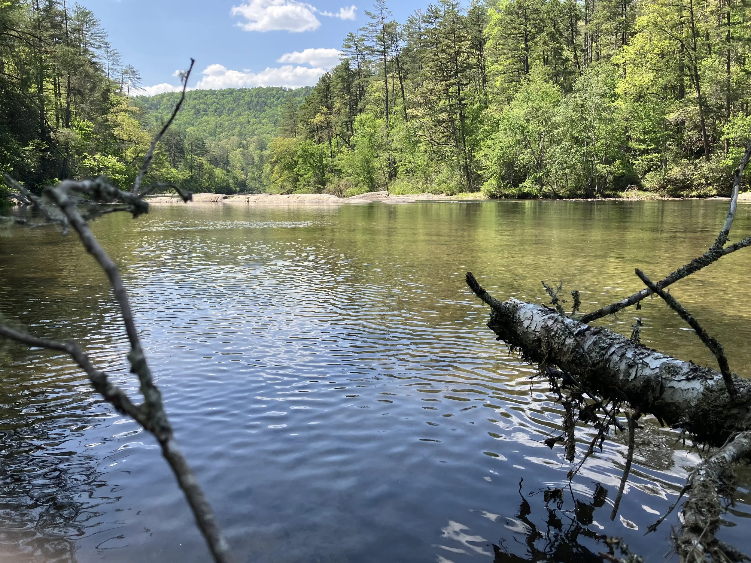 A serene river flowing steadily through a dense green forest with tall trees on both sides, under a bright blue sky with scattered clouds.