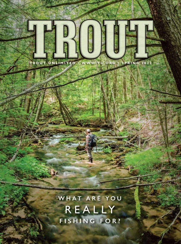 A person fishing in a shallow forest stream surrounded by green trees and foliage, with the magazine title 'TRout' and question 'What are you really fishing for?'