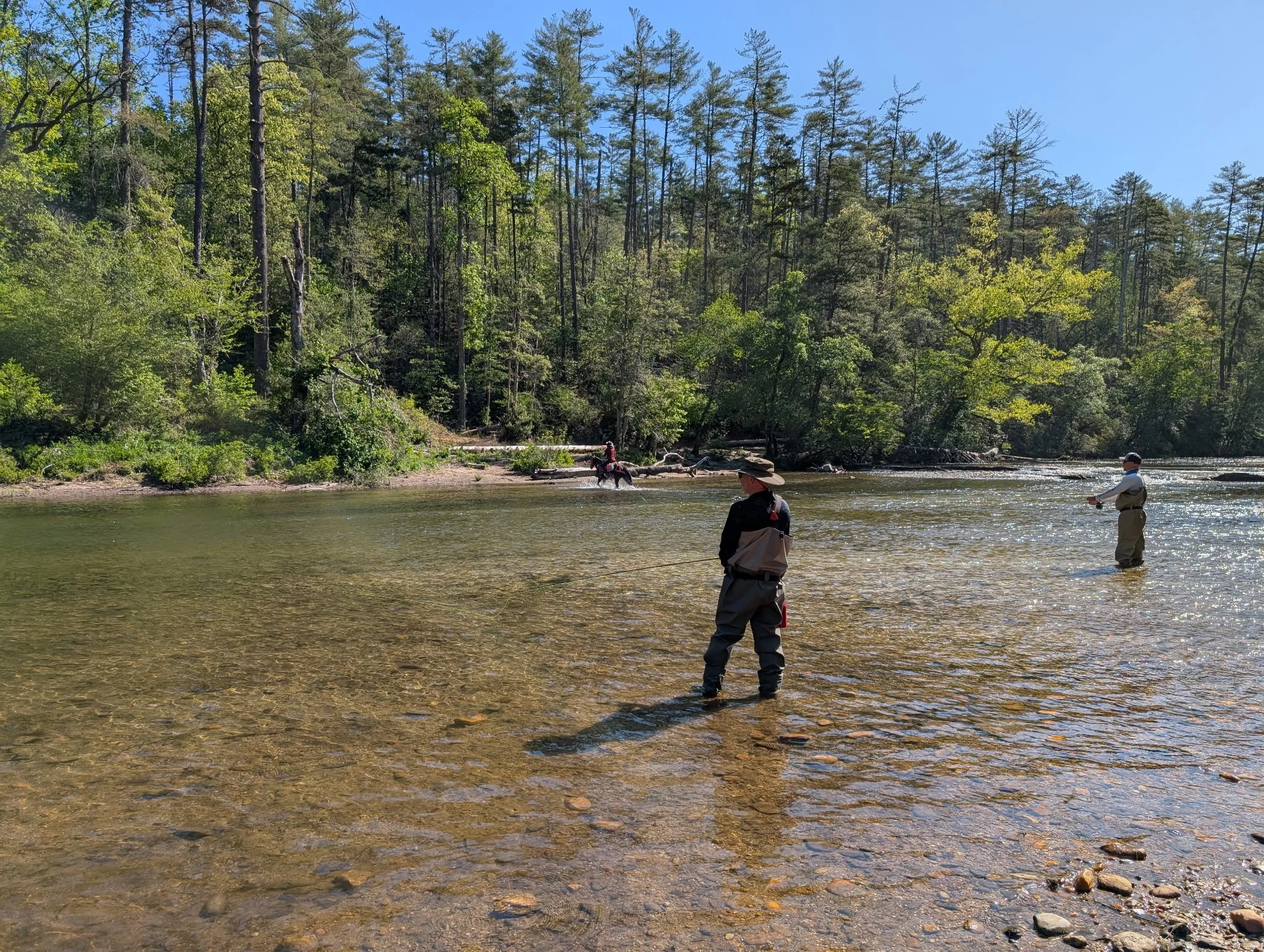 People fishing in a shallow river surrounded by green trees and a clear blue sky.