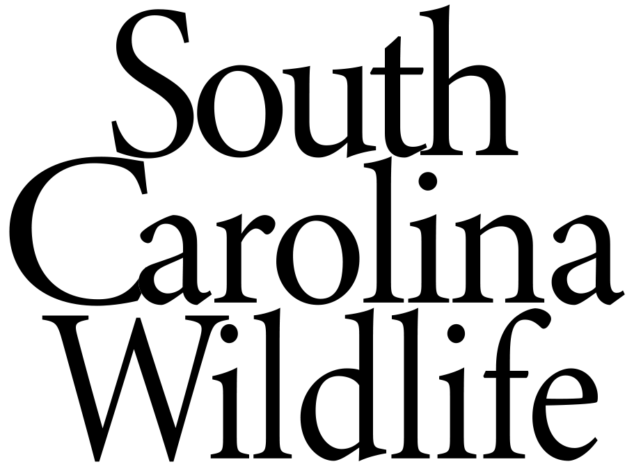 Text graphic with the words "South Carolina Wildlife" in black outlined font on a transparent background.