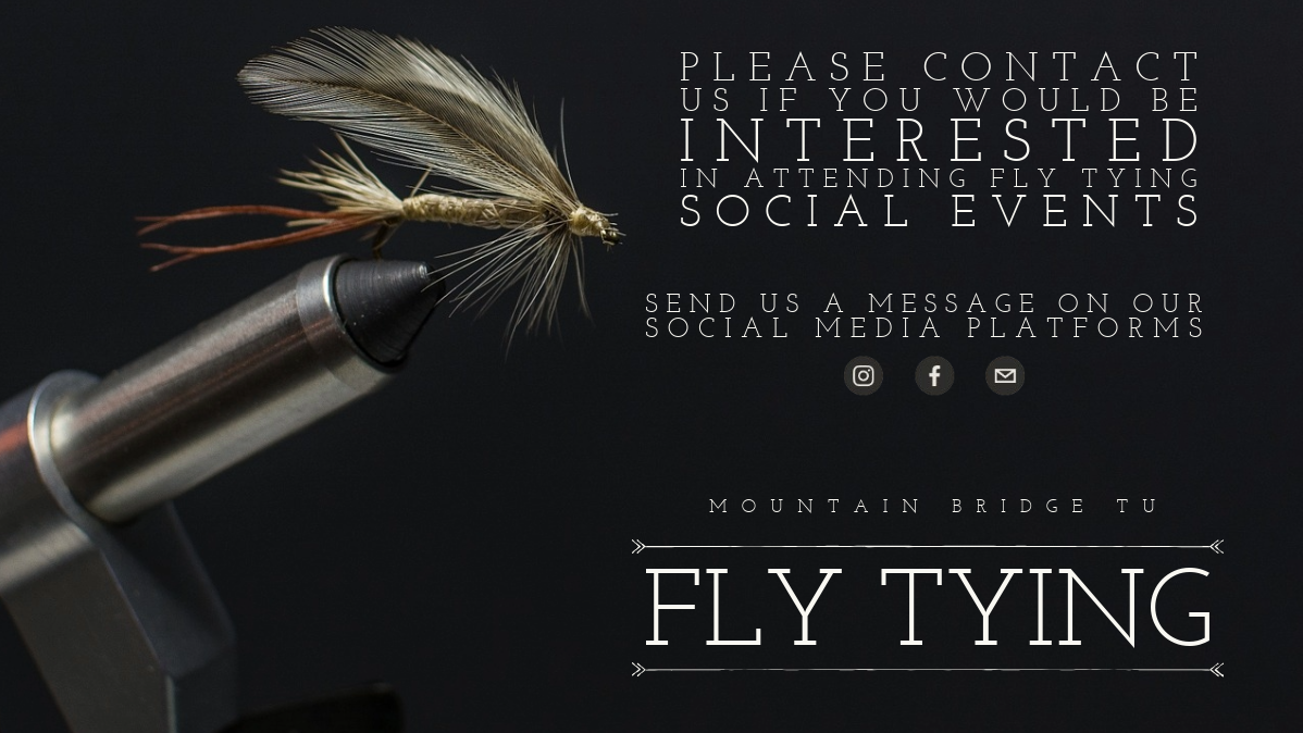 Close-up of a fly tying tool with a feathered fly fishing lure, overlaid with text about fly tying social events and contact information, including social media icons.