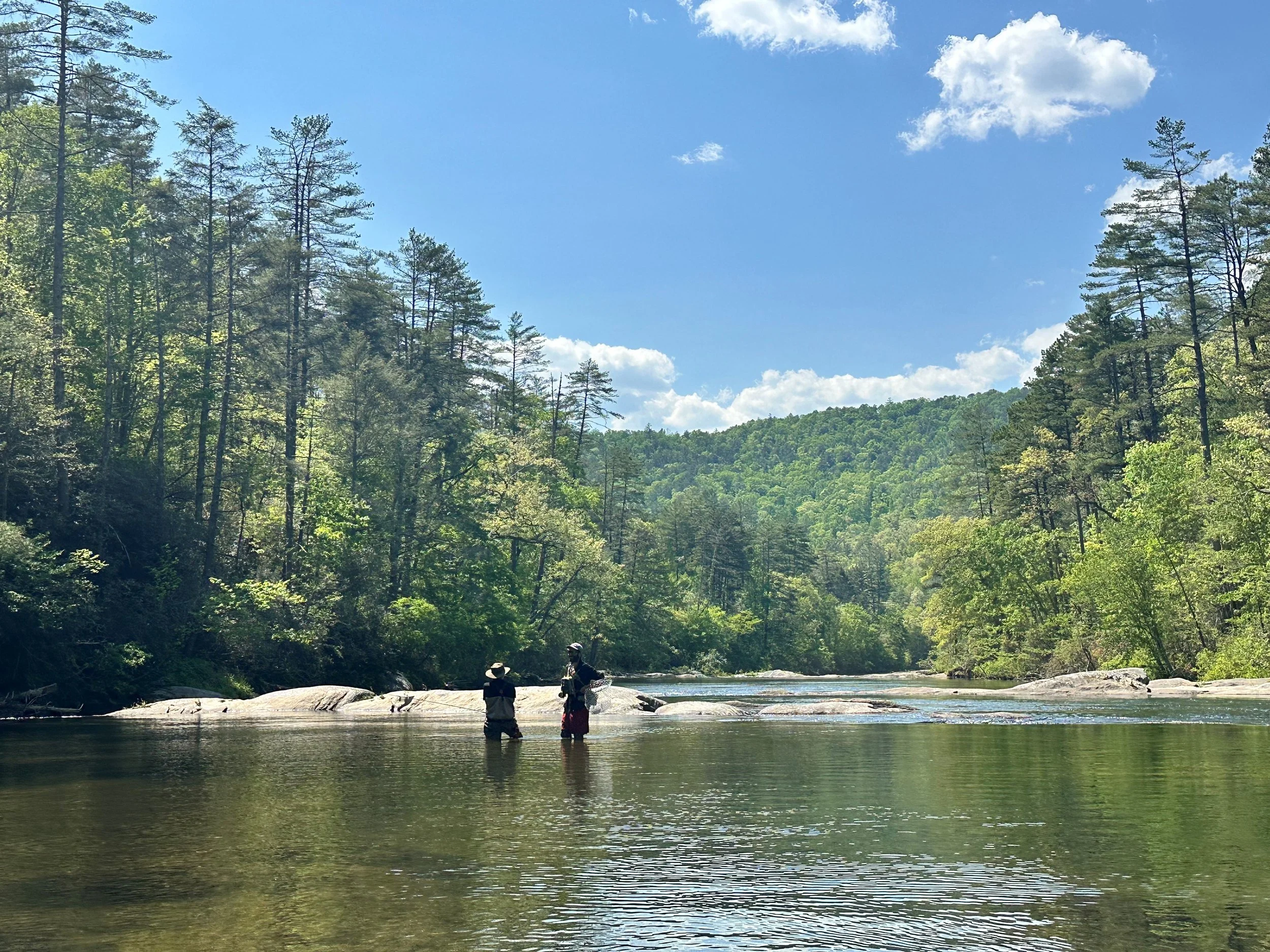 Two people fishing in a river surrounded by a forest of tall pine trees, with a bright blue sky and scattered clouds above.