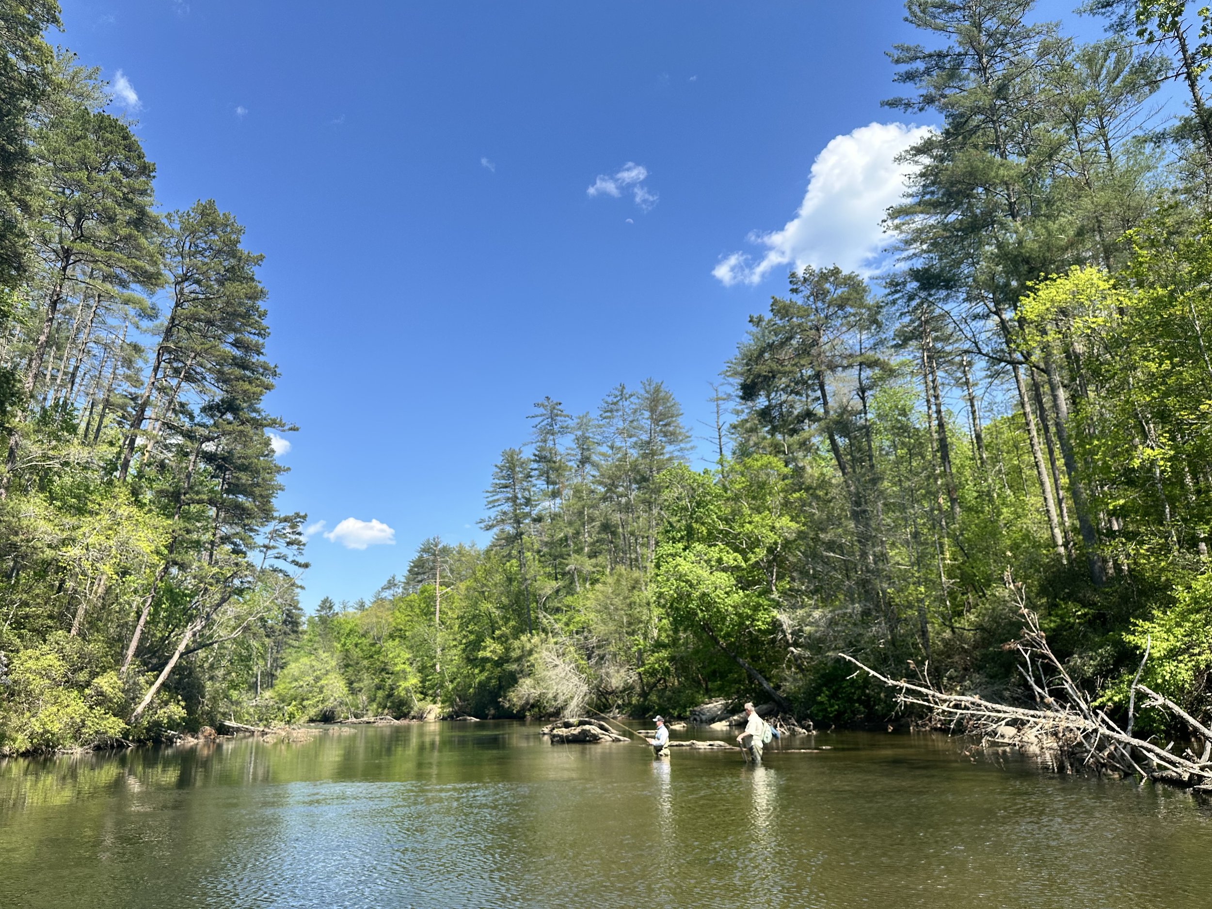 A peaceful river flowing through a forest with tall green trees on both sides and a bright blue sky with scattered white clouds above.