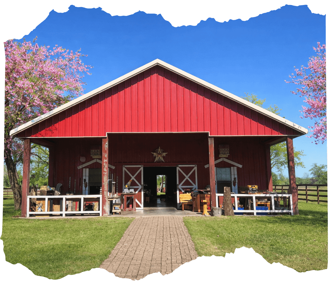 Red barn on Stuart Ranch with white trim, open doors, surrounded by green grass and flowering trees, blue sky in the background.
