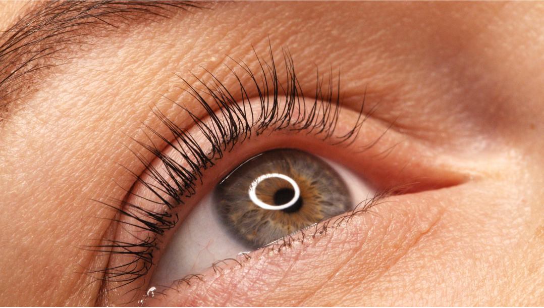 Resultado Natural Lash no Studio Paula Kamorim, Campo Pequeno, Lisboa