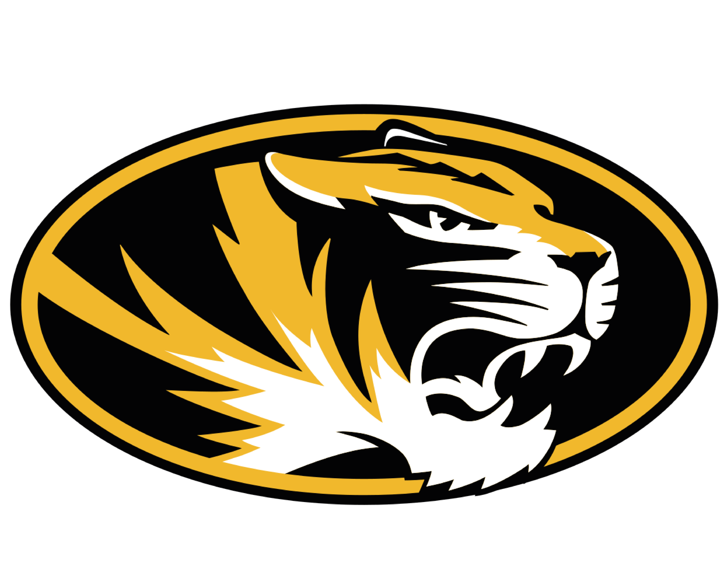 MIZ.png