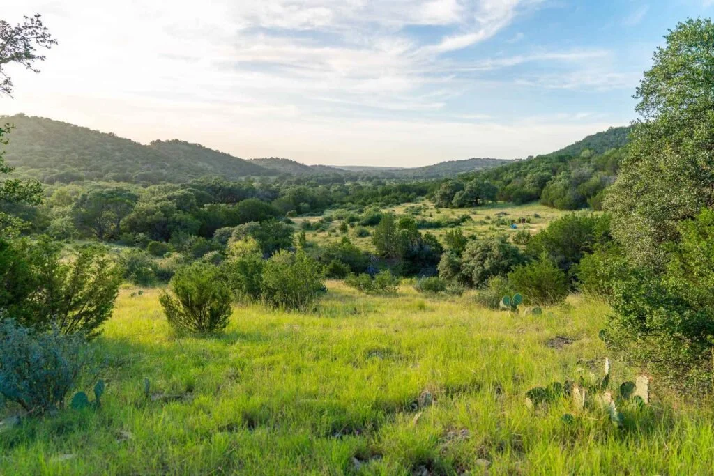 A scenic view of a green valley with rolling hills and a mix of trees and bushes under a partly cloudy sky.