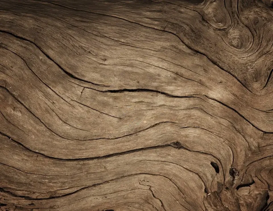 Close-up of a textured piece of brown weathered wood with visible grain patterns and small knots.