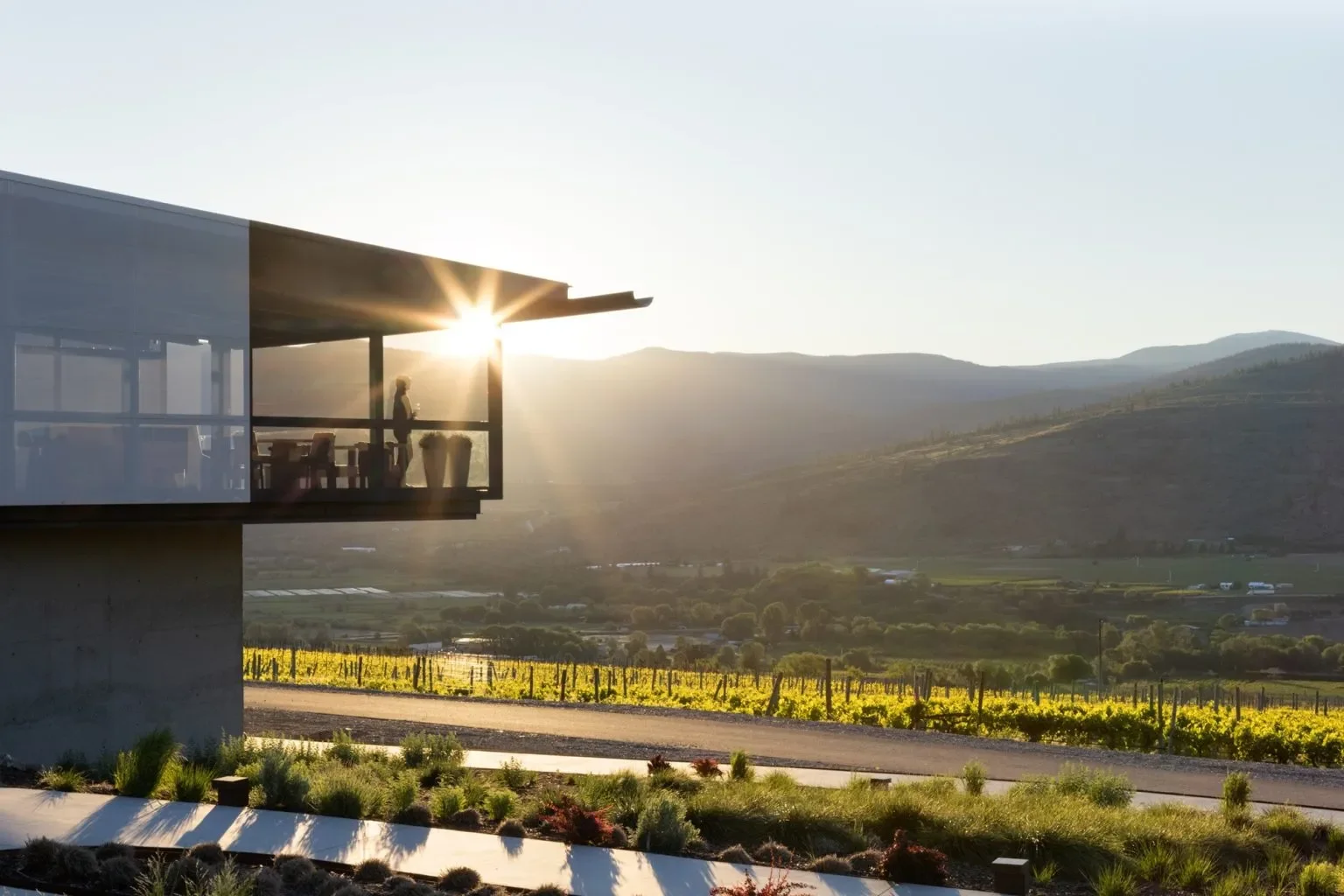 Modern house with glass walls and outdoor balcony overlooking a vineyard and mountains at sunset.