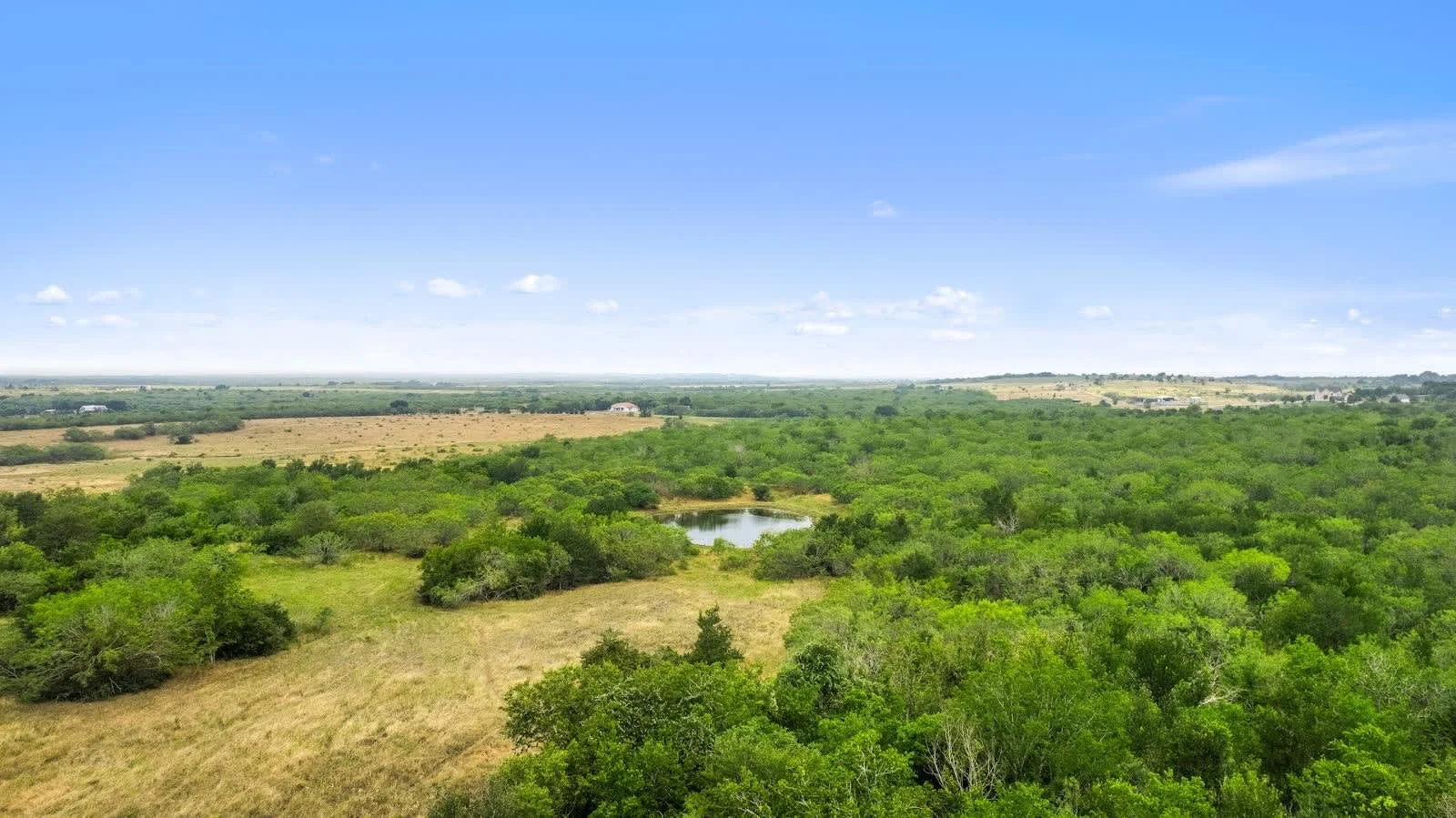 Aerial view of a lush green landscape with a small pond, grass, trees, and distant fields under a blue sky with scattered clouds.