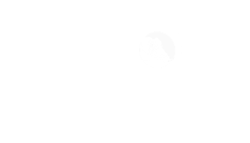 Florida Department of Business and Professional Regulation logo with the word 'dlpr' and a circular design in the letter 'o'.