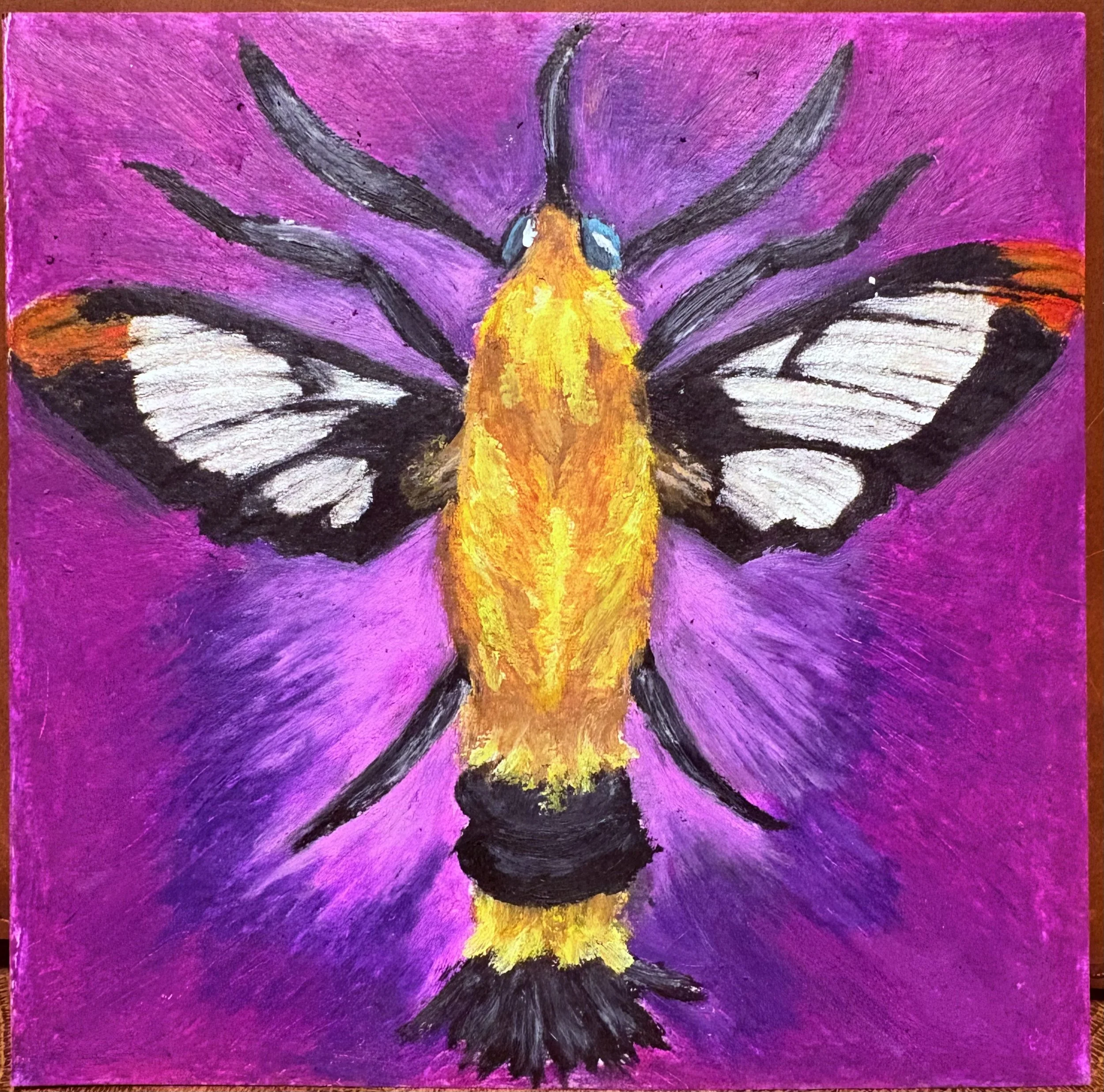 Hummingbird Moth - Oil Pastel (2025)