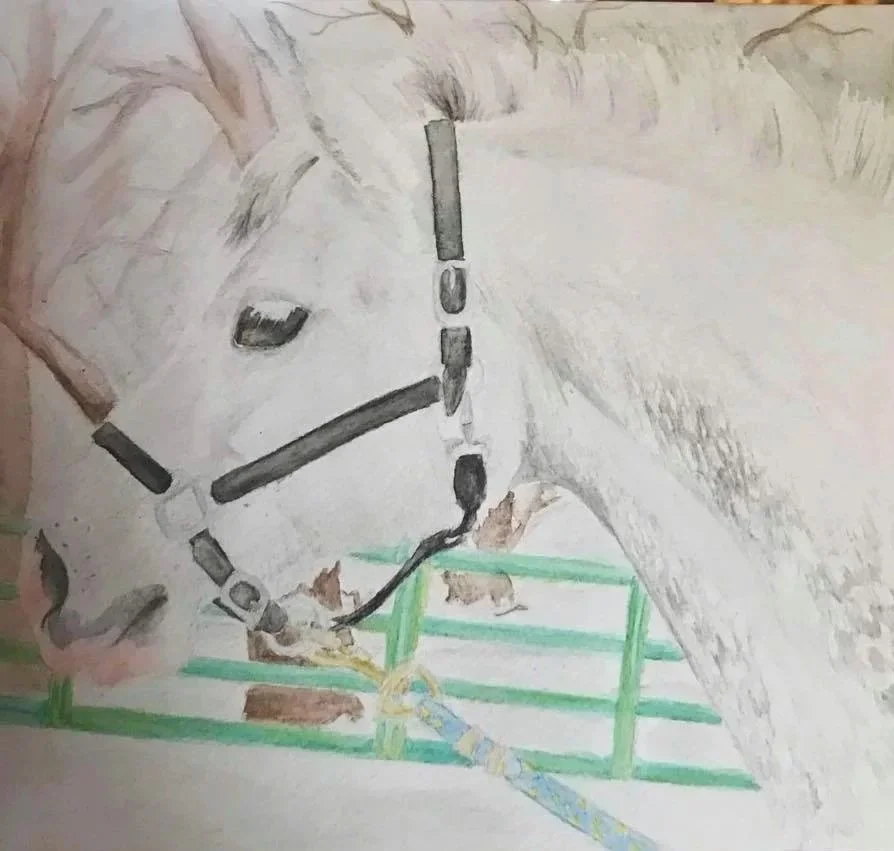 Horse - Watercolors (2018)