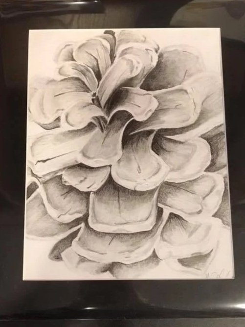 Pine Cone - Graphite (2018)