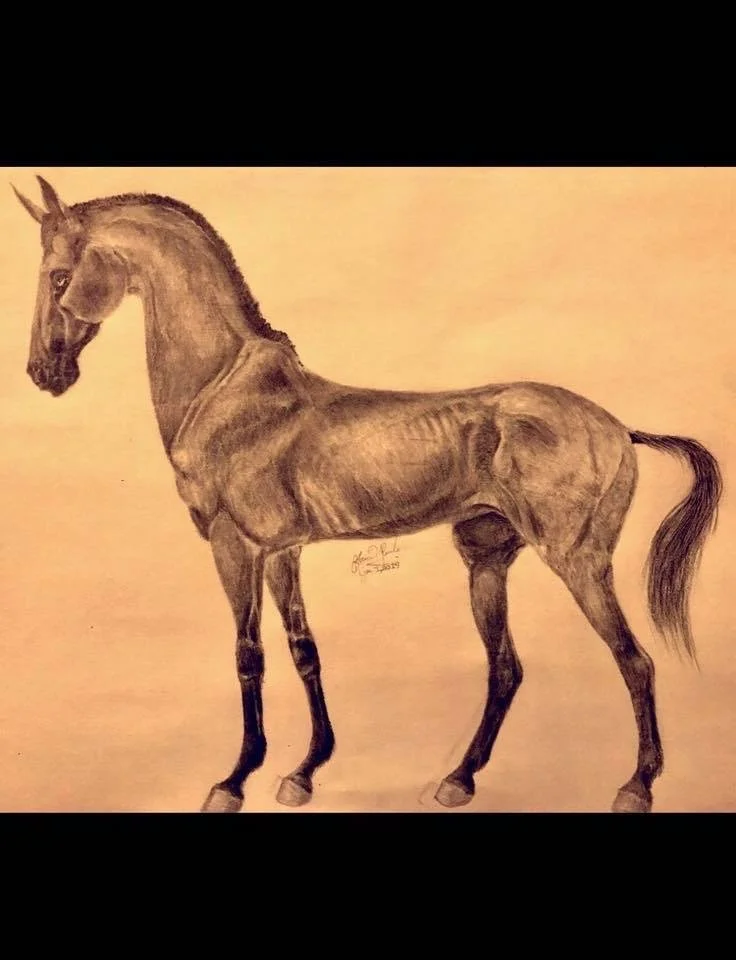 Horse - Graphite (2020)