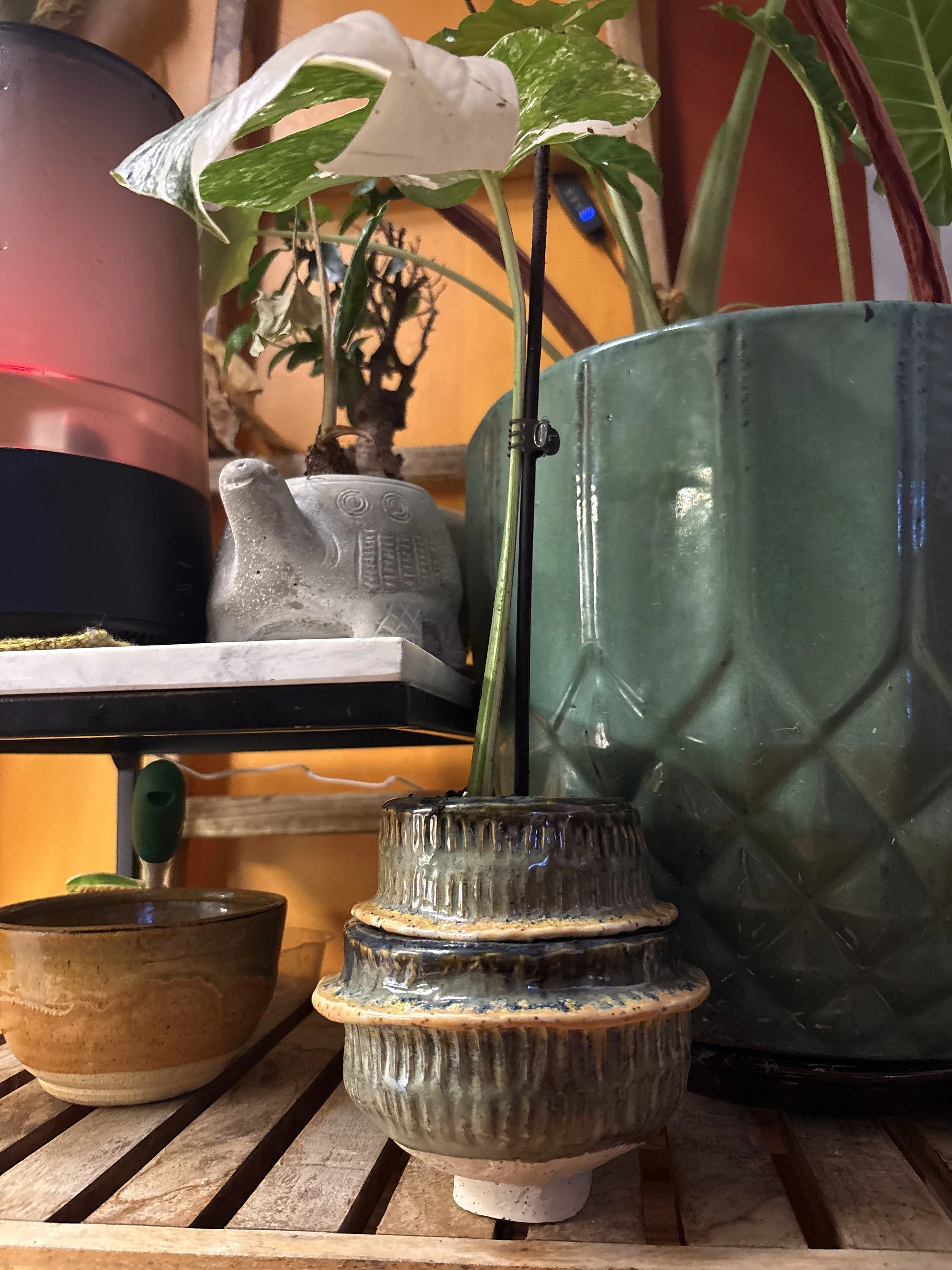 Planter - Ceramic (2026)