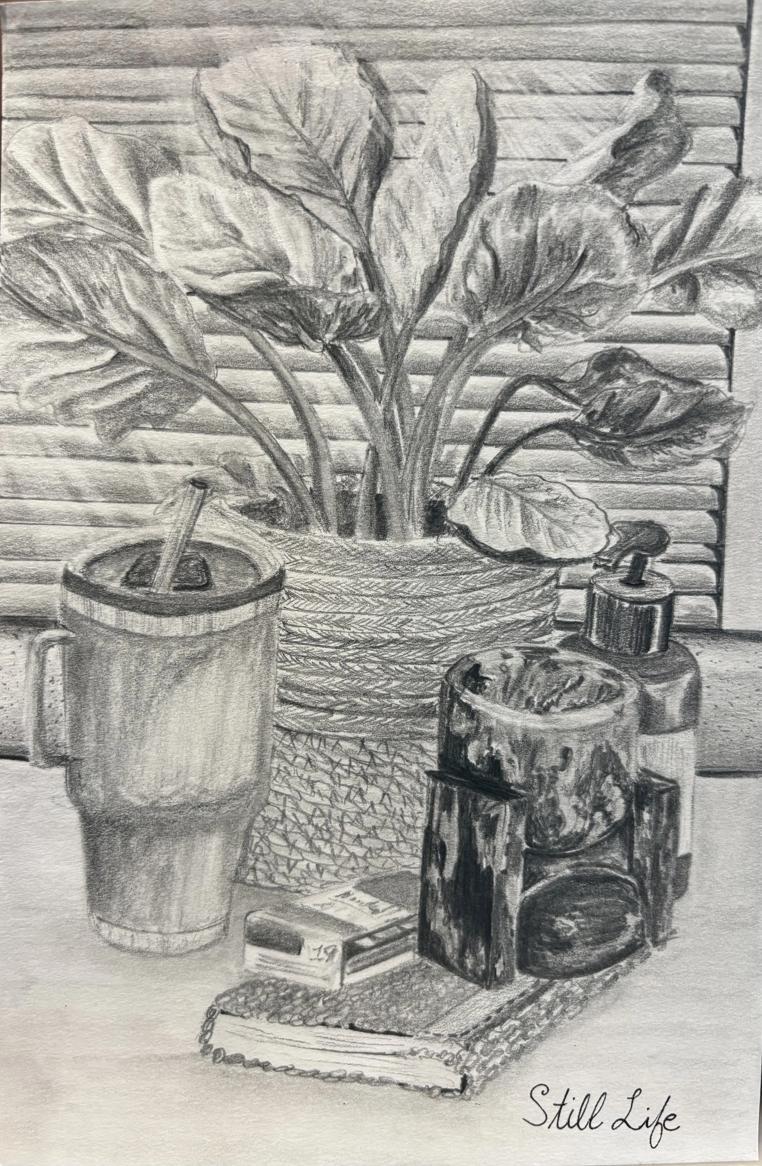 Still Life - Graphite (2023)