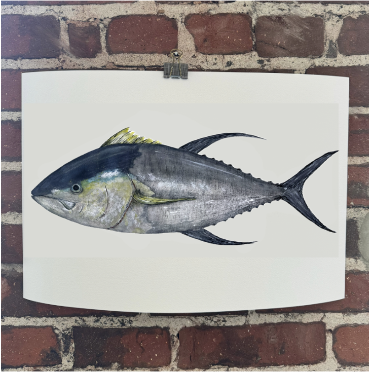 Giclée Print - Yellowfin Tuna