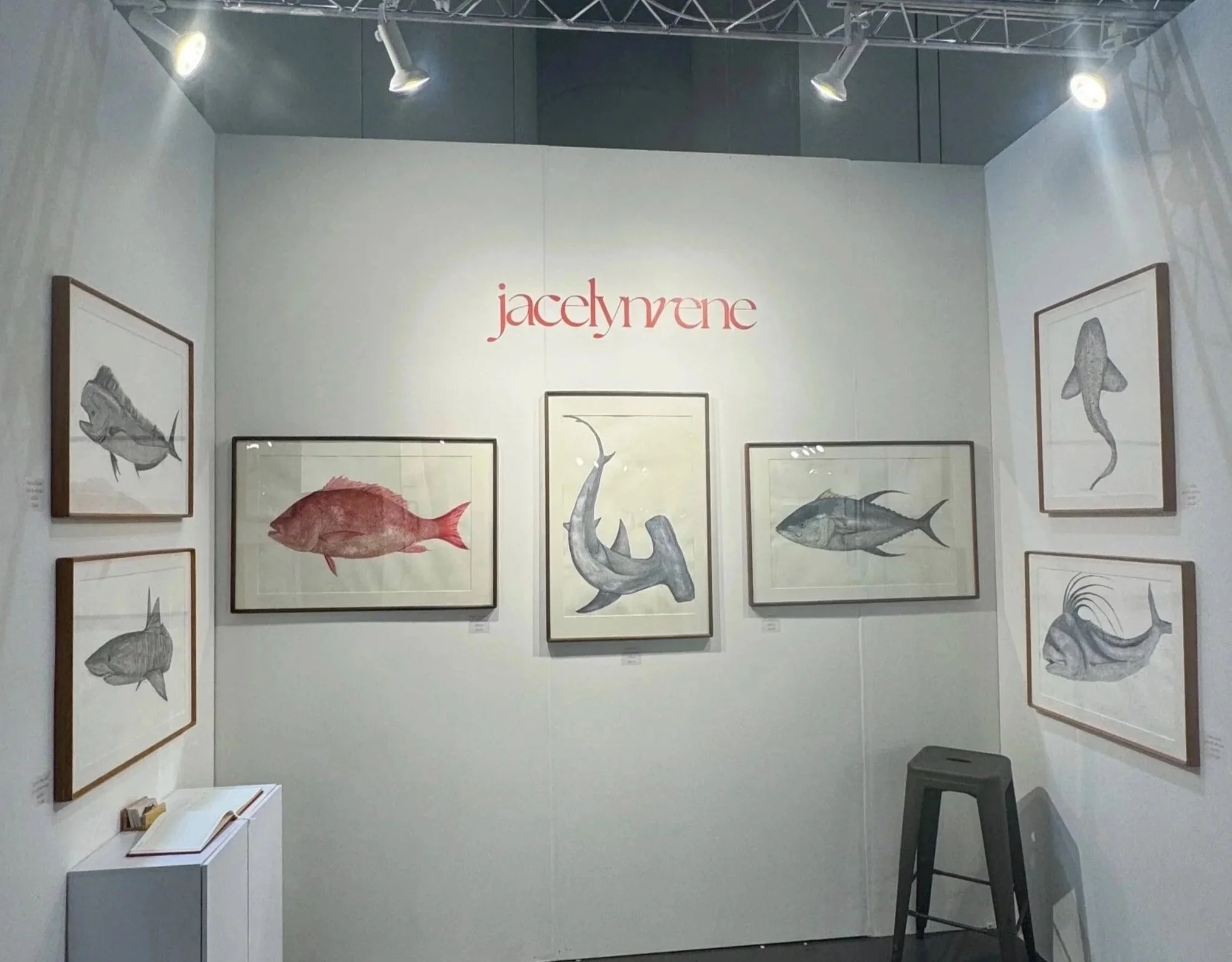 Art exhibition featuring framed artwork of fish and marine life on white walls with the name 'jacquyrne' displayed at the top center, illuminated by ceiling spotlights.