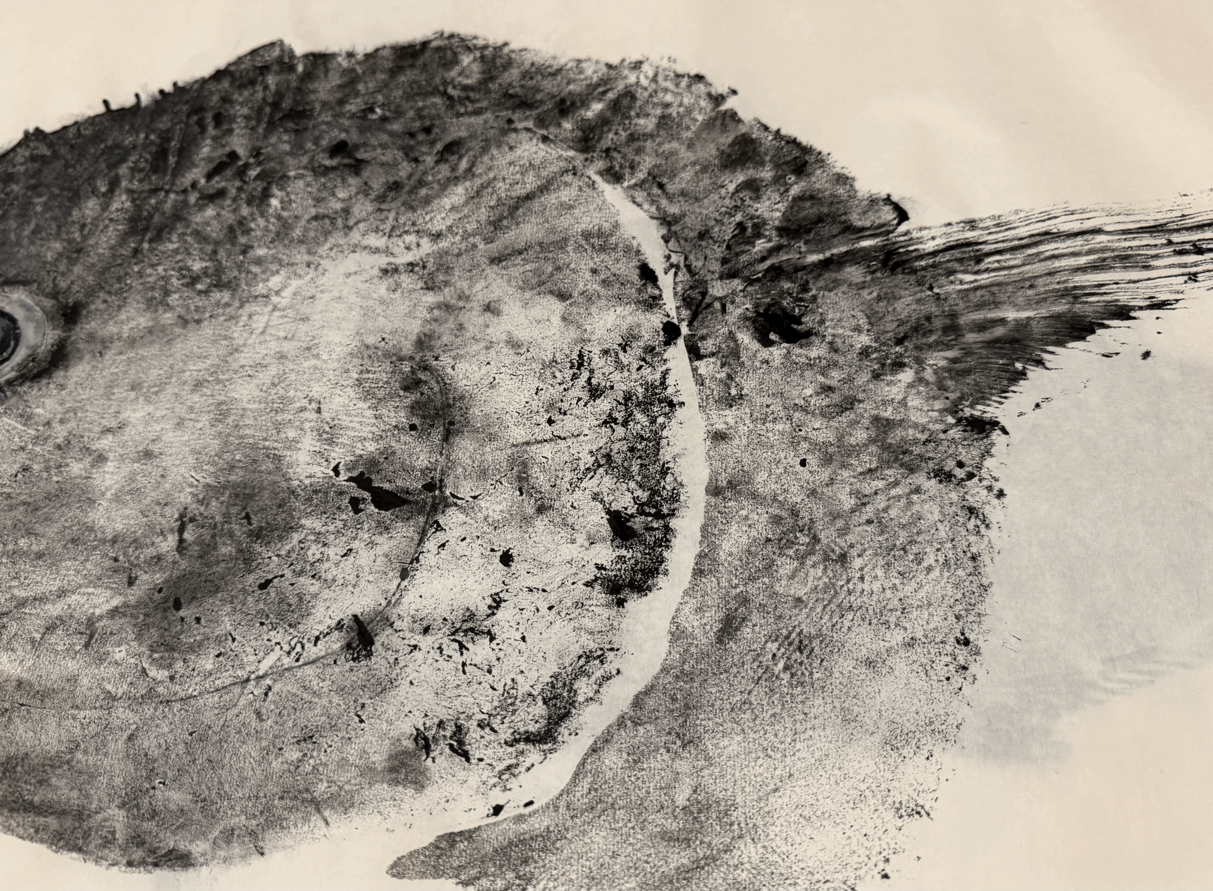 tempImageOIKlX8.gif