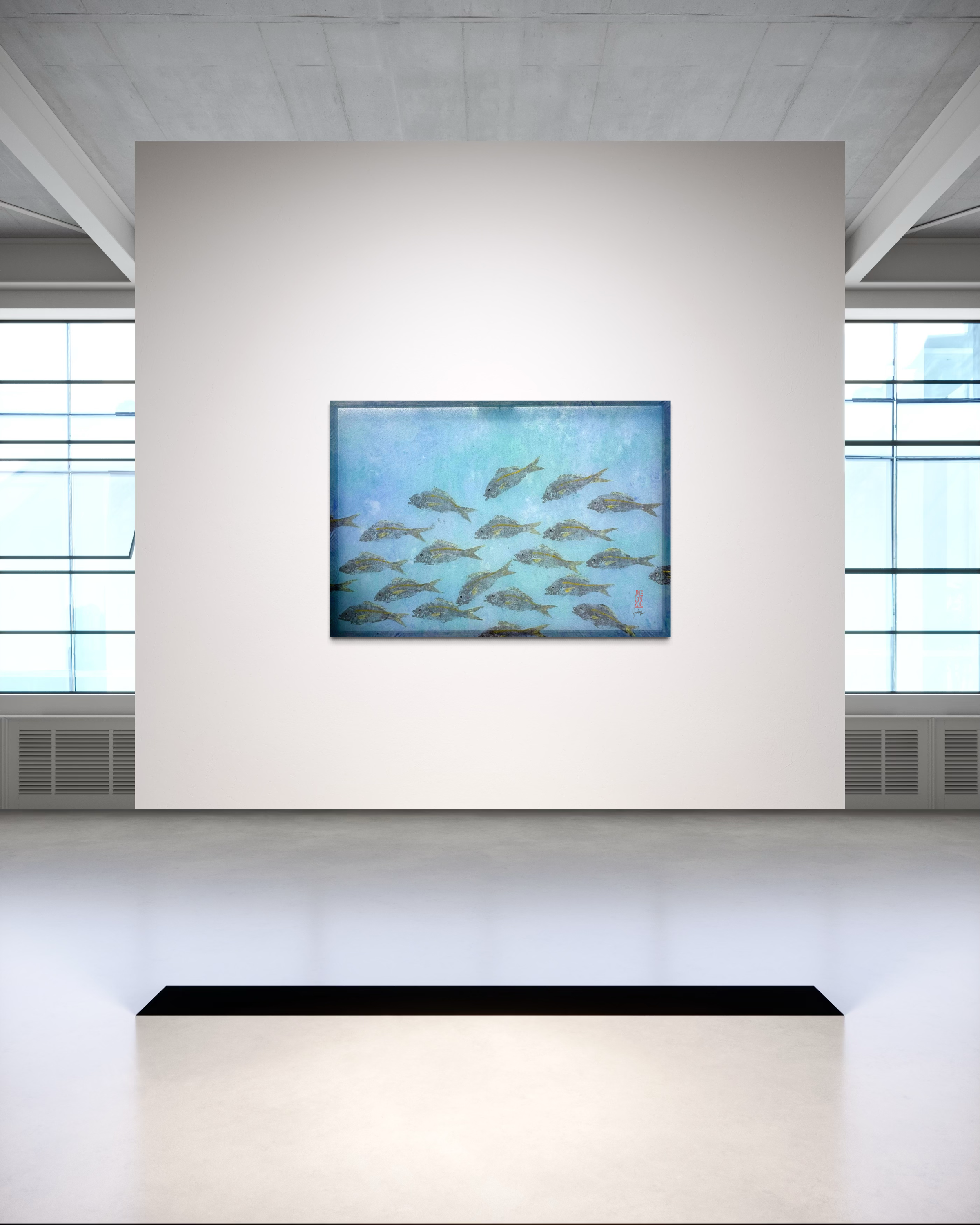 School of Yellowtail
