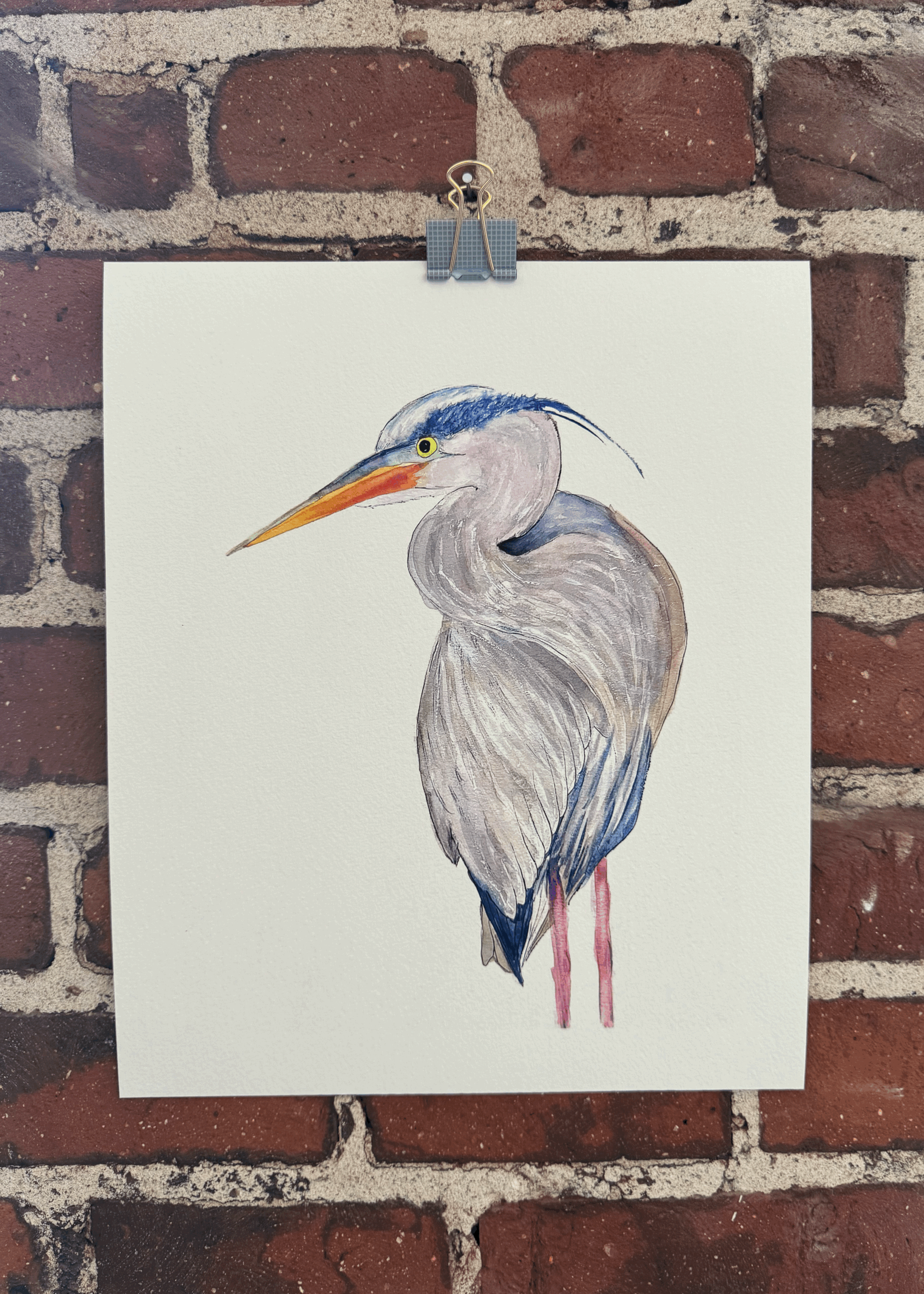 Giclée Print -Blue Heron