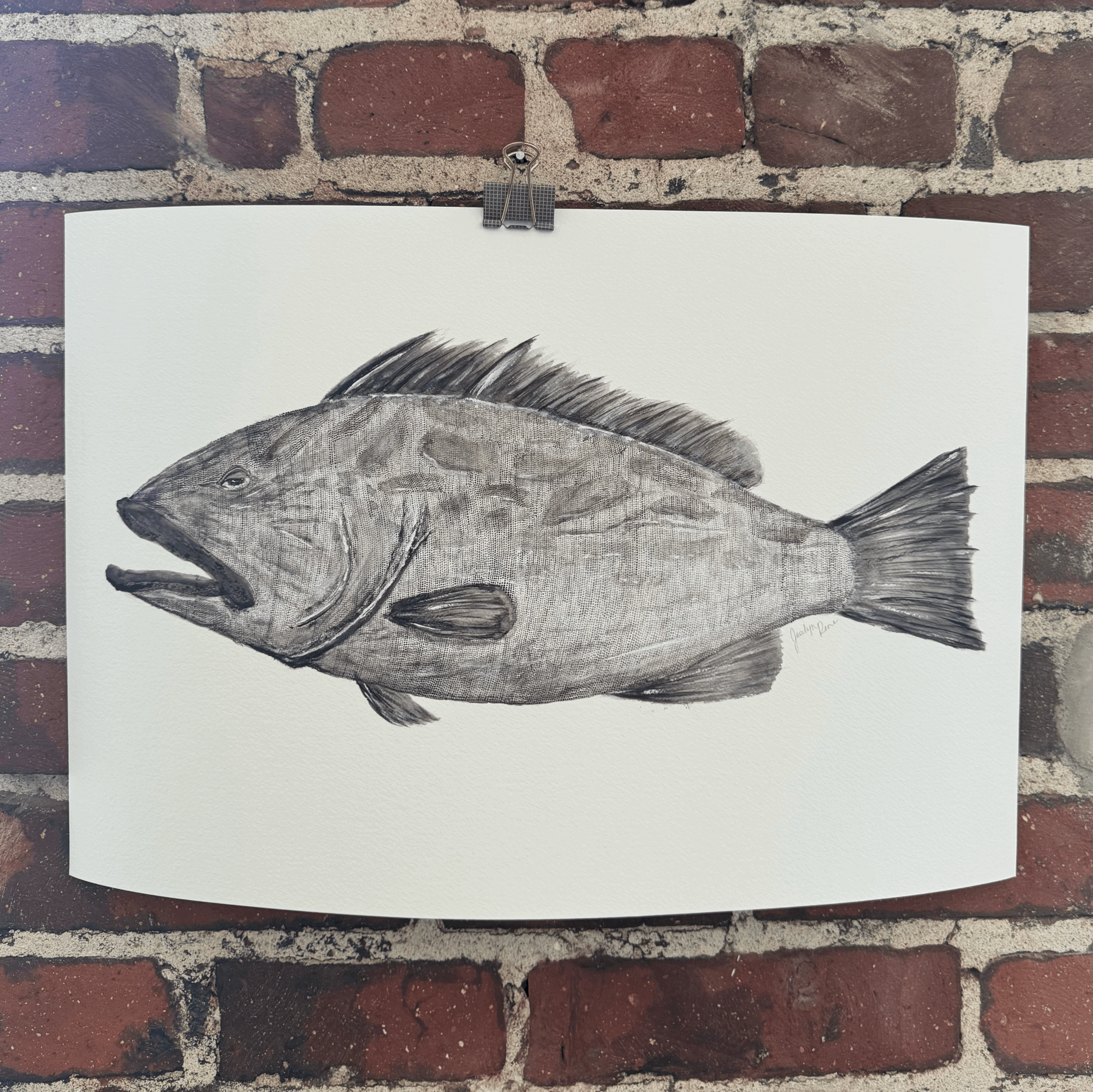 Giclée Print - Grouper