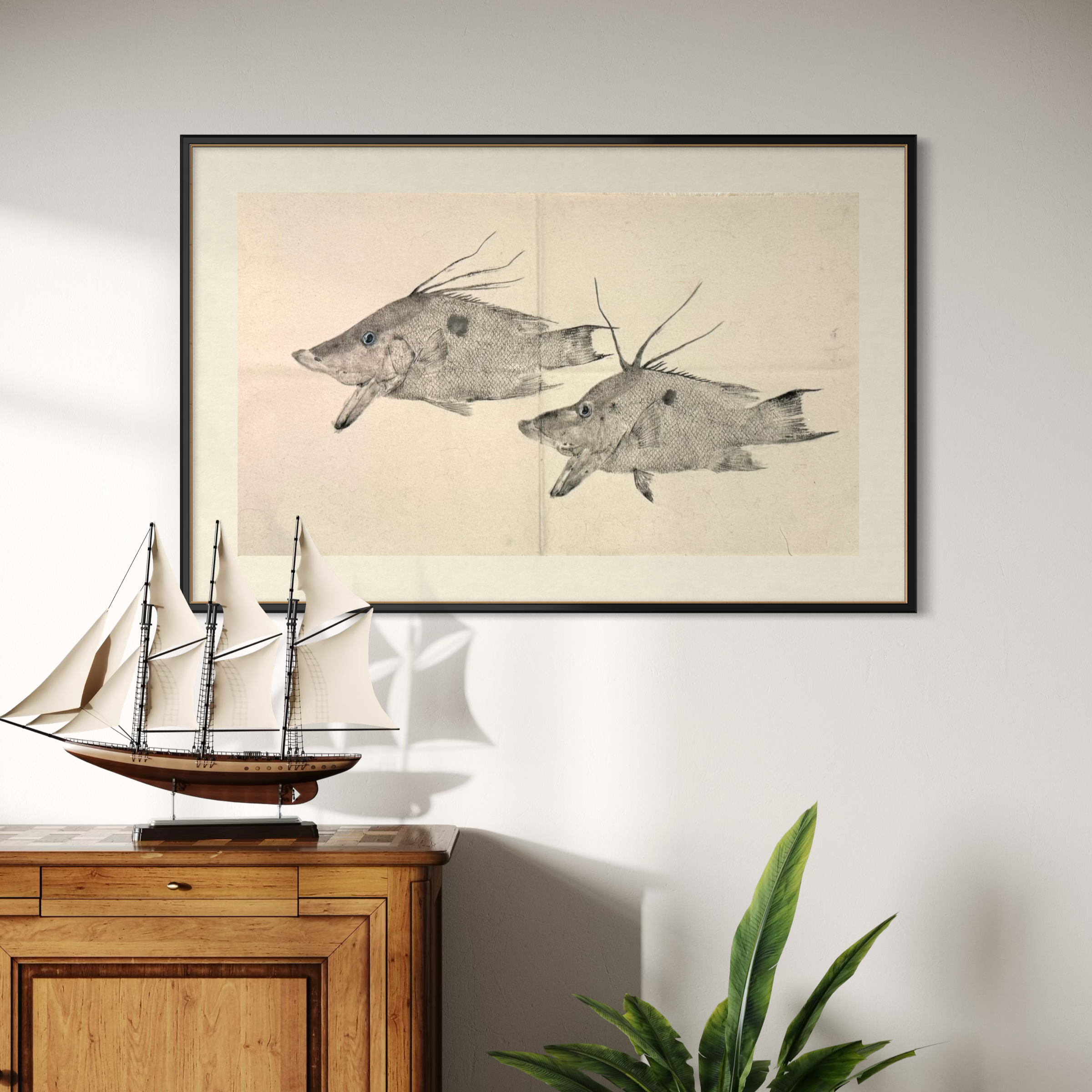 Hogfish Original Gyotaku on canvas