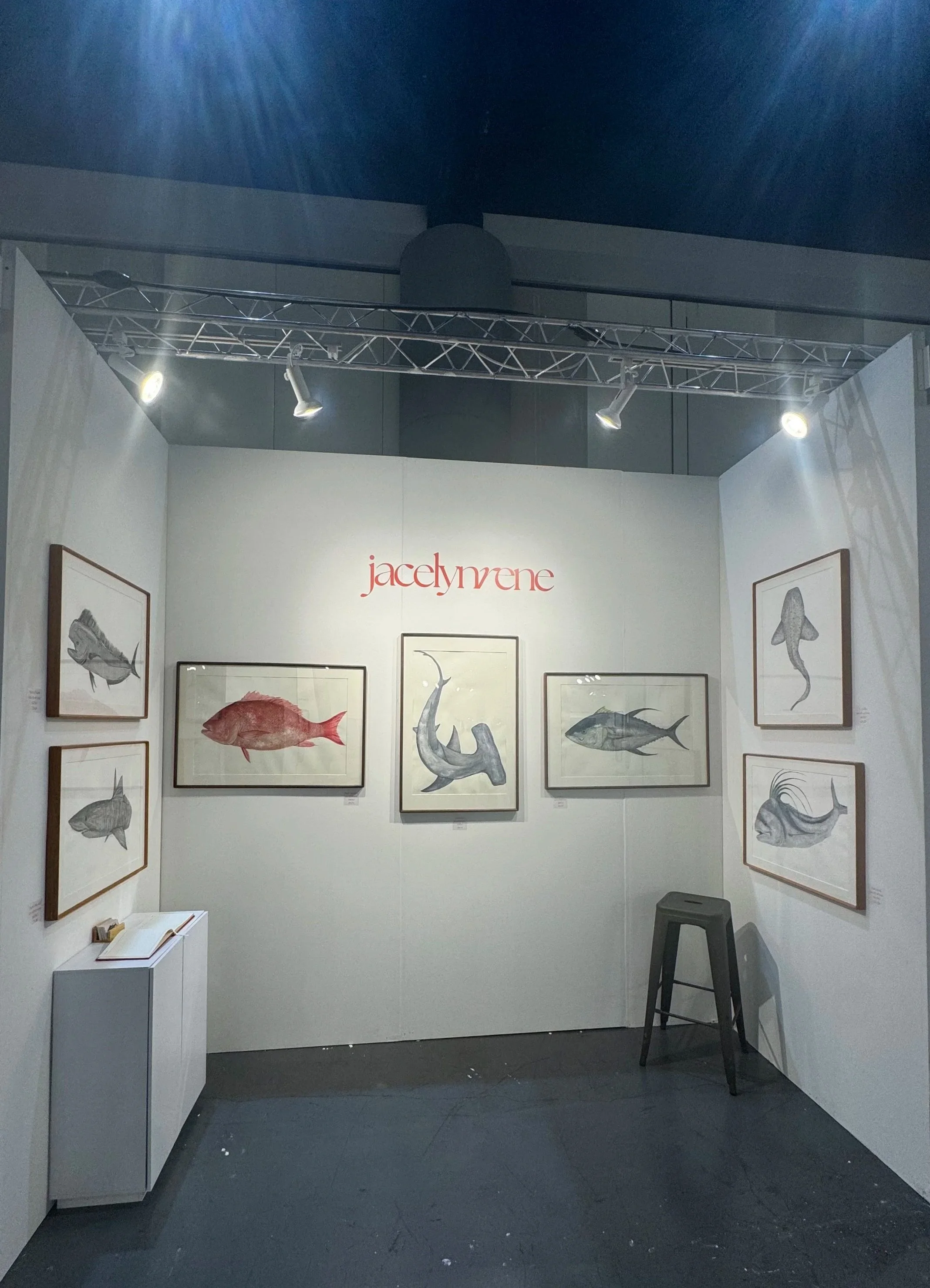 An art exhibit featuring sketches of sea creatures, with the artist's name jacelyrene displayed above. The artwork includes red snapper, a yellowfin tuna, and a hammerhead shark.